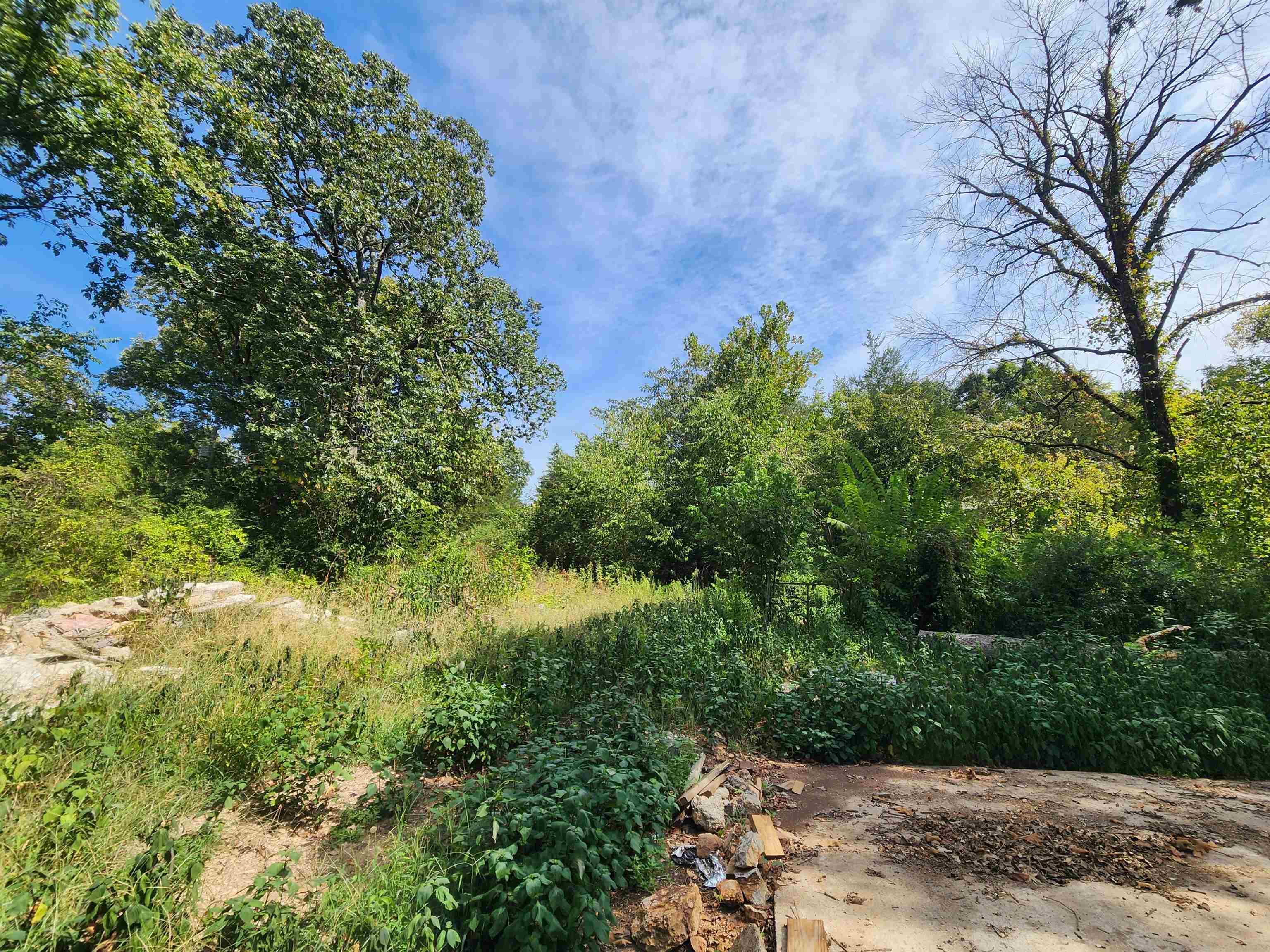 Photo 10 - Vacant Land for sale – 2612  63   Hardy, AR