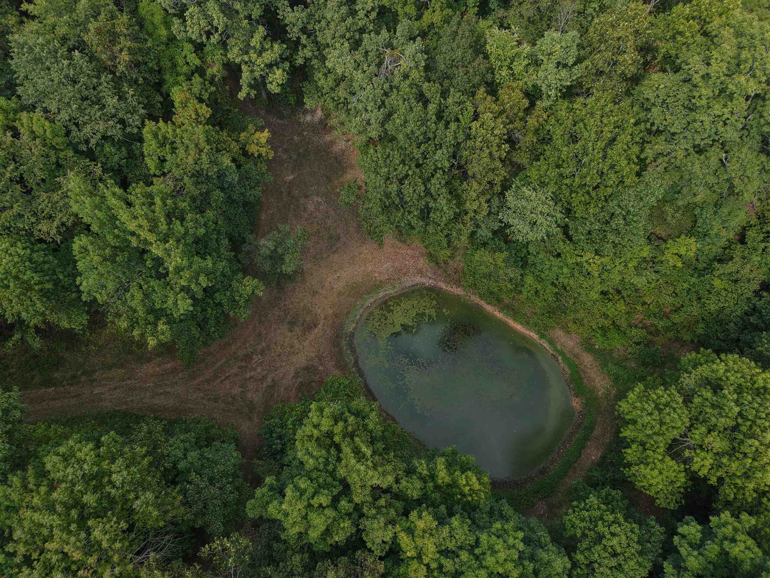 Photo 2 - Vacant Land for sale – 186A  Williamson Trail   Mount Pleasant, AR