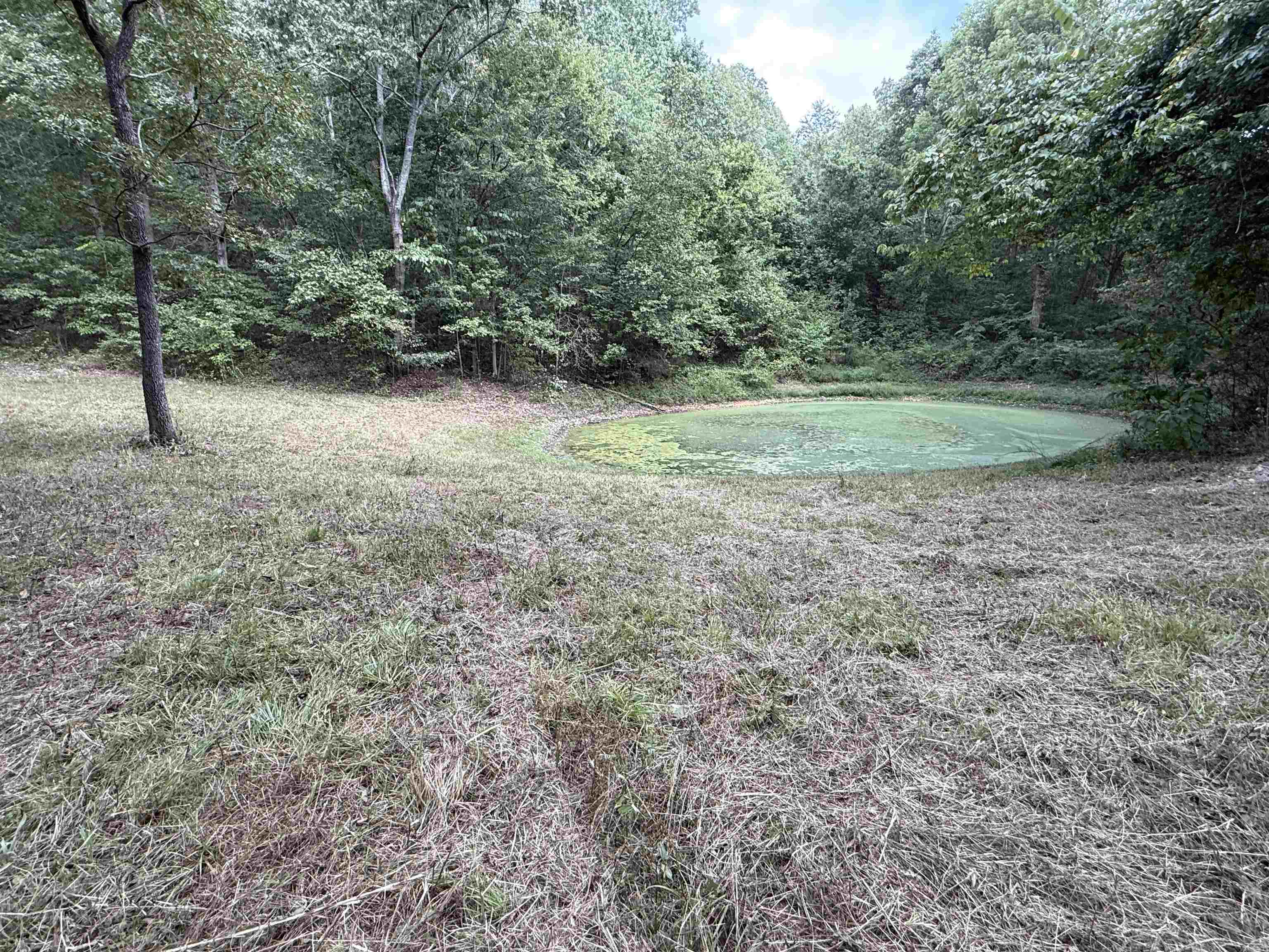 Photo 13 - Vacant Land for sale – 186A  Williamson Trail   Mount Pleasant, AR
