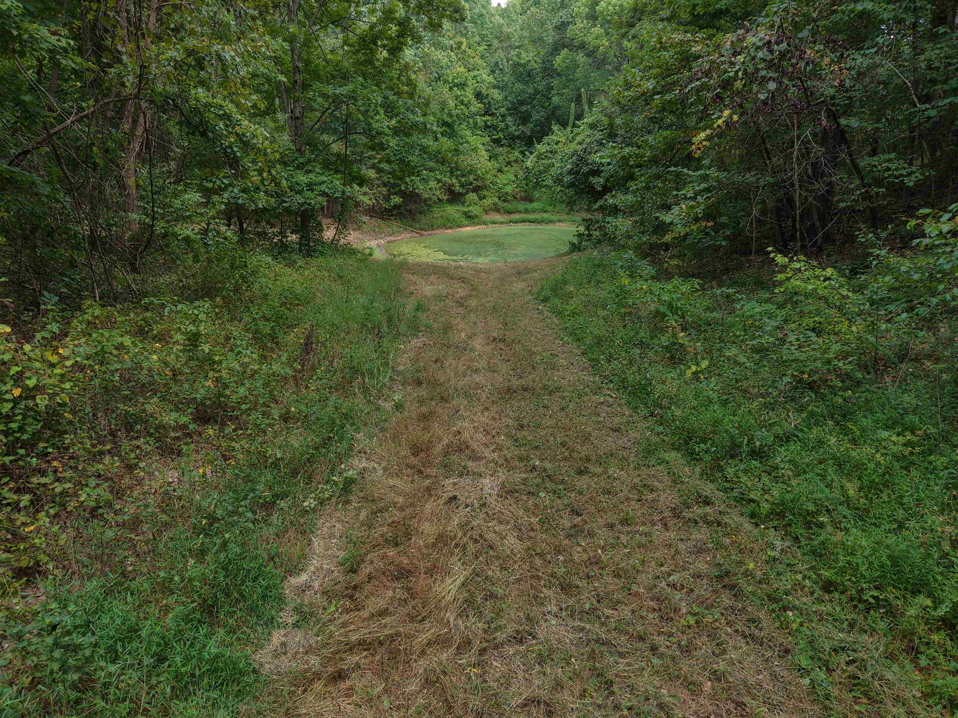 Photo 14 - Vacant Land for sale – 186A  Williamson Trail   Mount Pleasant, AR