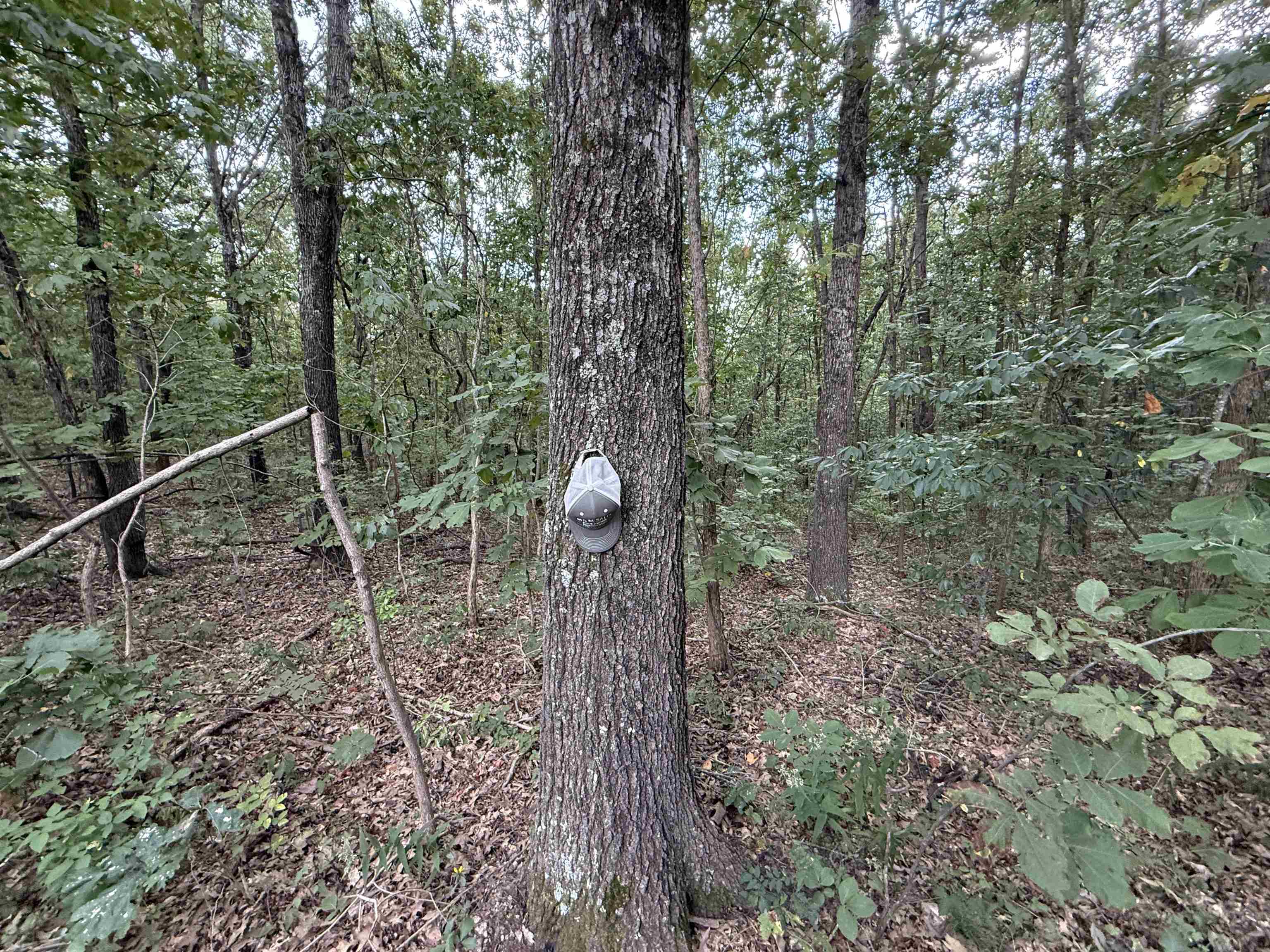 Photo 15 - Vacant Land for sale – 186A  Williamson Trail   Mount Pleasant, AR