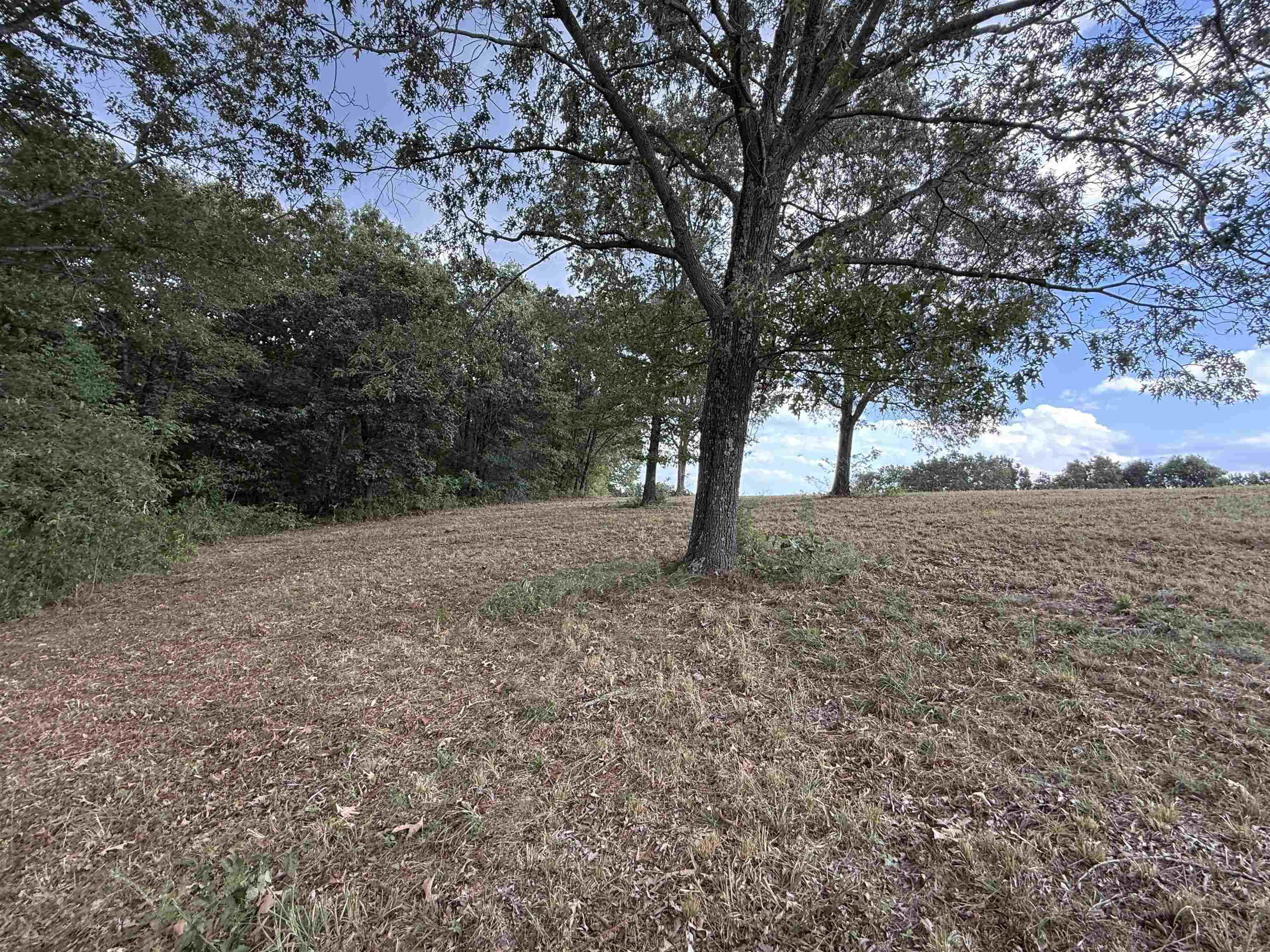 Photo 16 - Vacant Land for sale – 186A  Williamson Trail   Mount Pleasant, AR