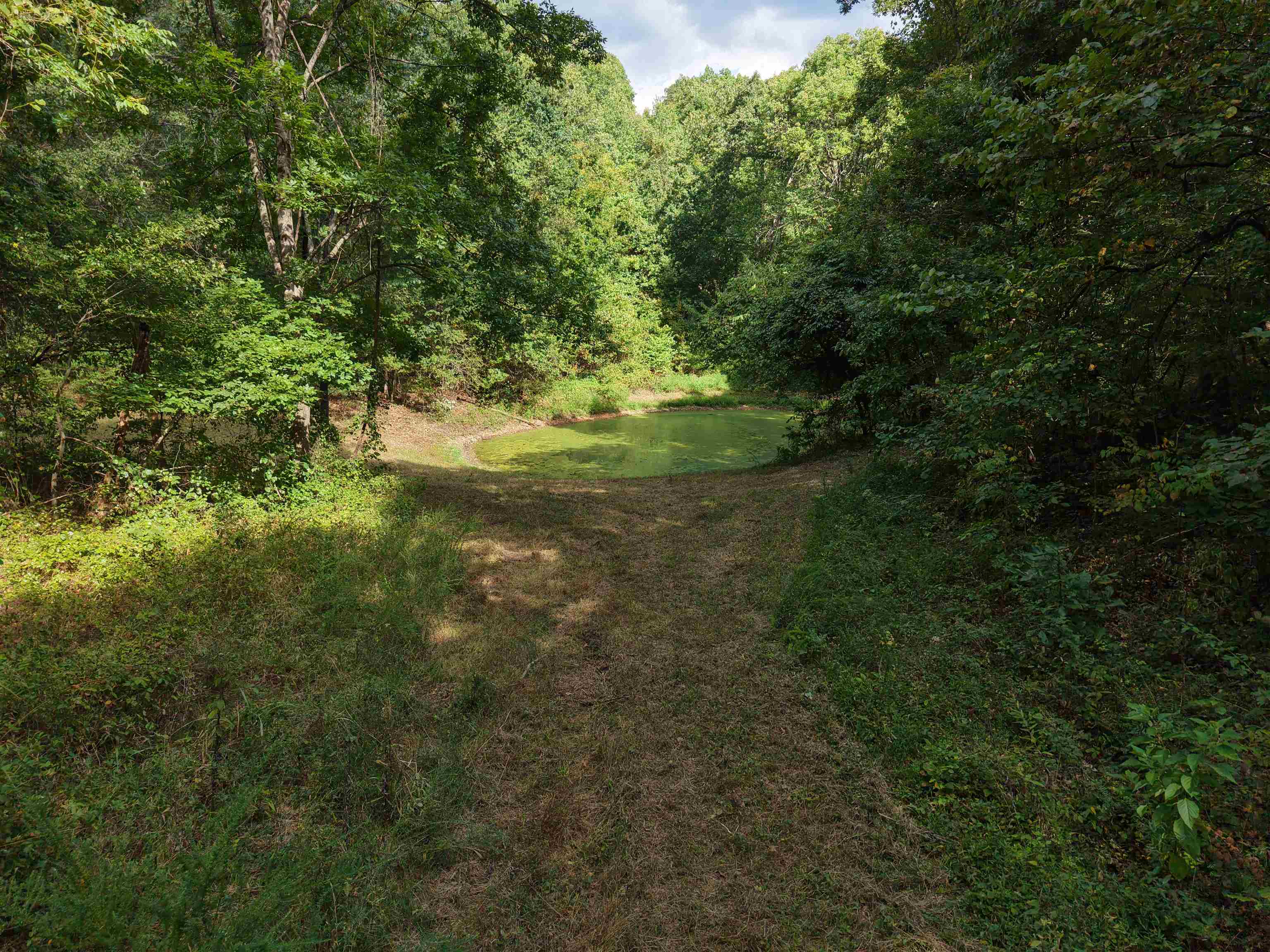 Photo 17 - Vacant Land for sale – 186A  Williamson Trail   Mount Pleasant, AR