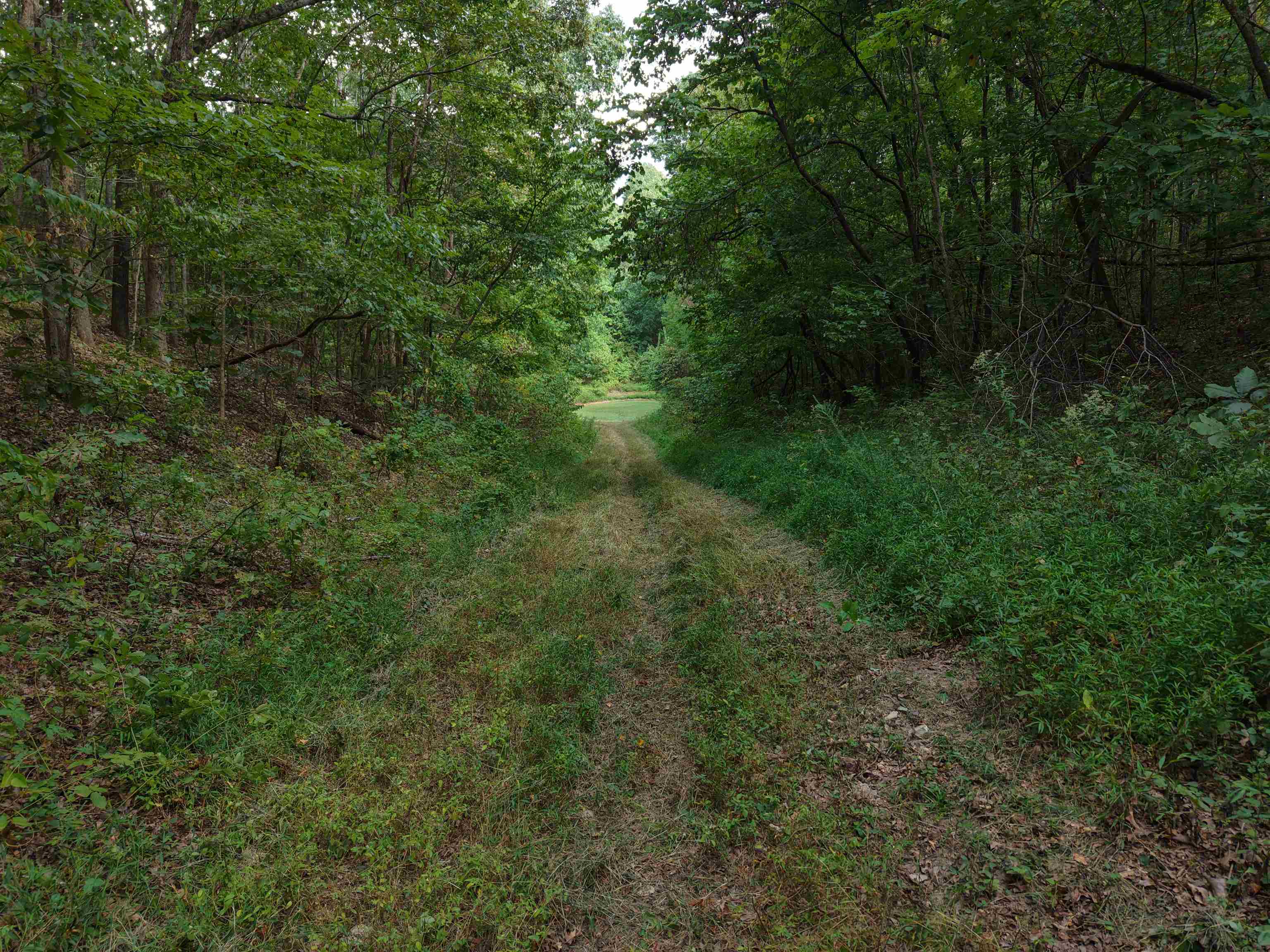 Photo 18 - Vacant Land for sale – 186A  Williamson Trail   Mount Pleasant, AR