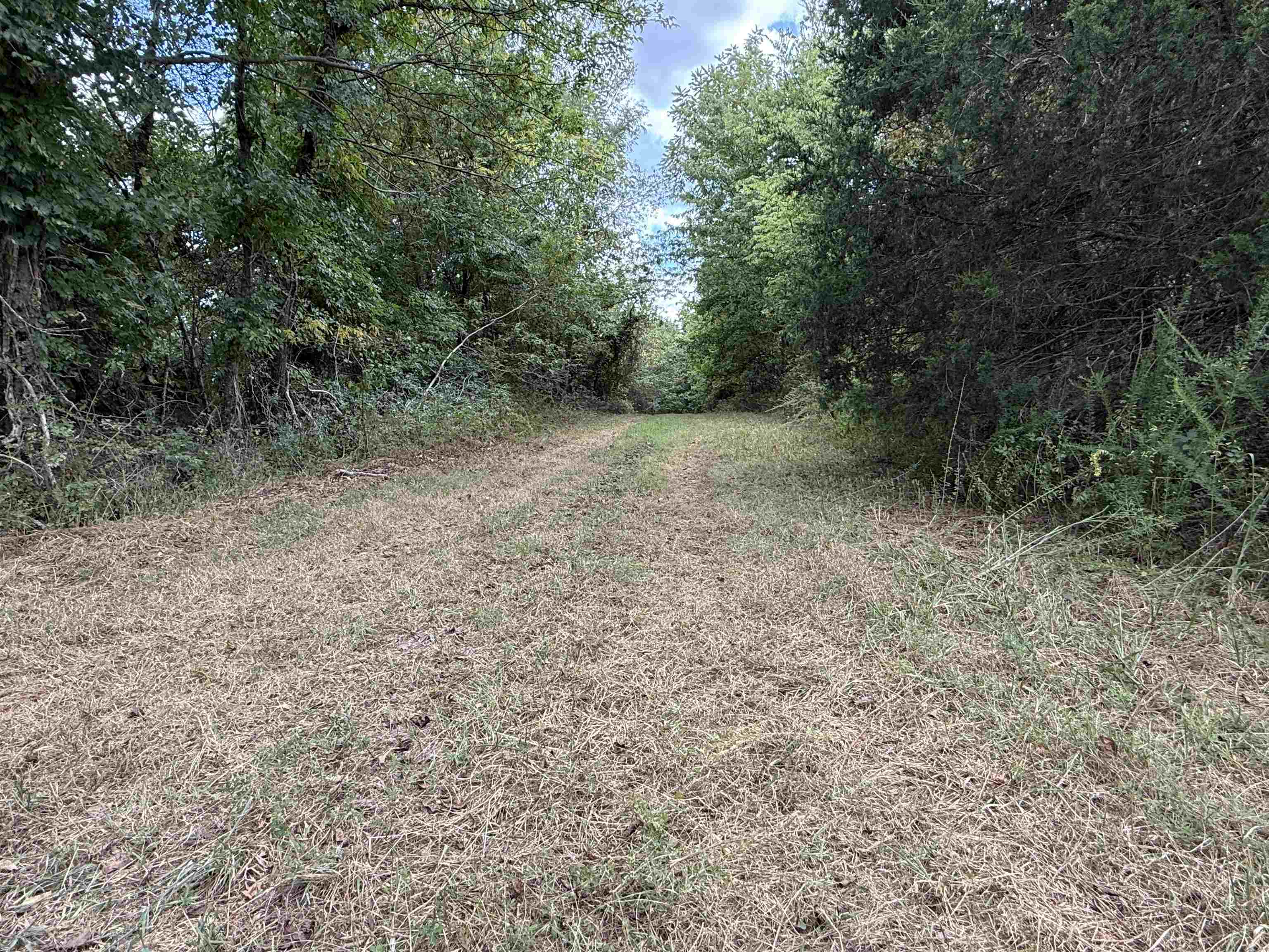 Photo 19 - Vacant Land for sale – 186A  Williamson Trail   Mount Pleasant, AR