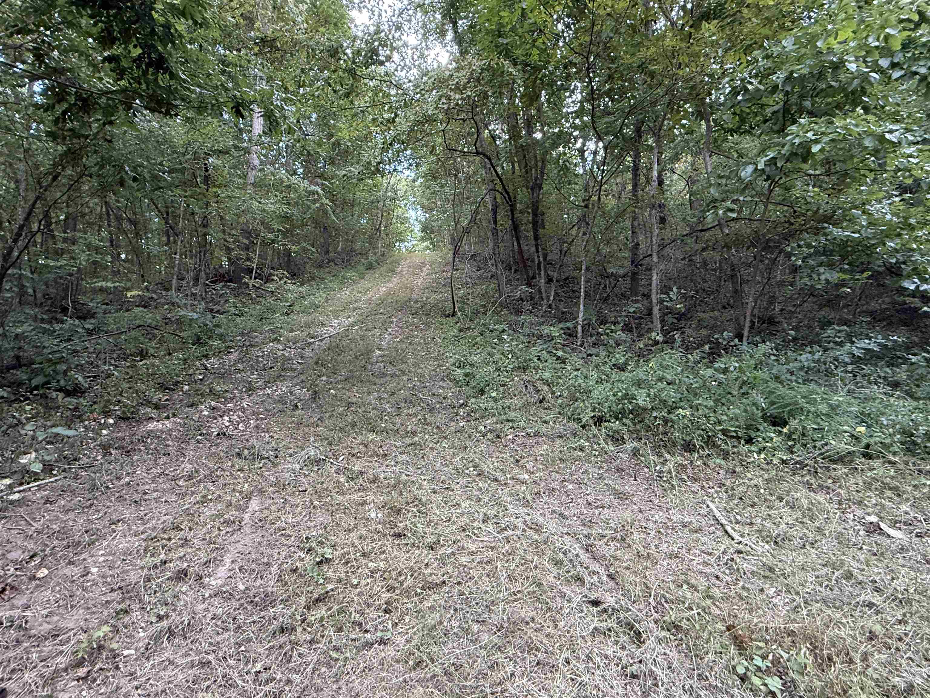 Photo 20 - Vacant Land for sale – 186A  Williamson Trail   Mount Pleasant, AR