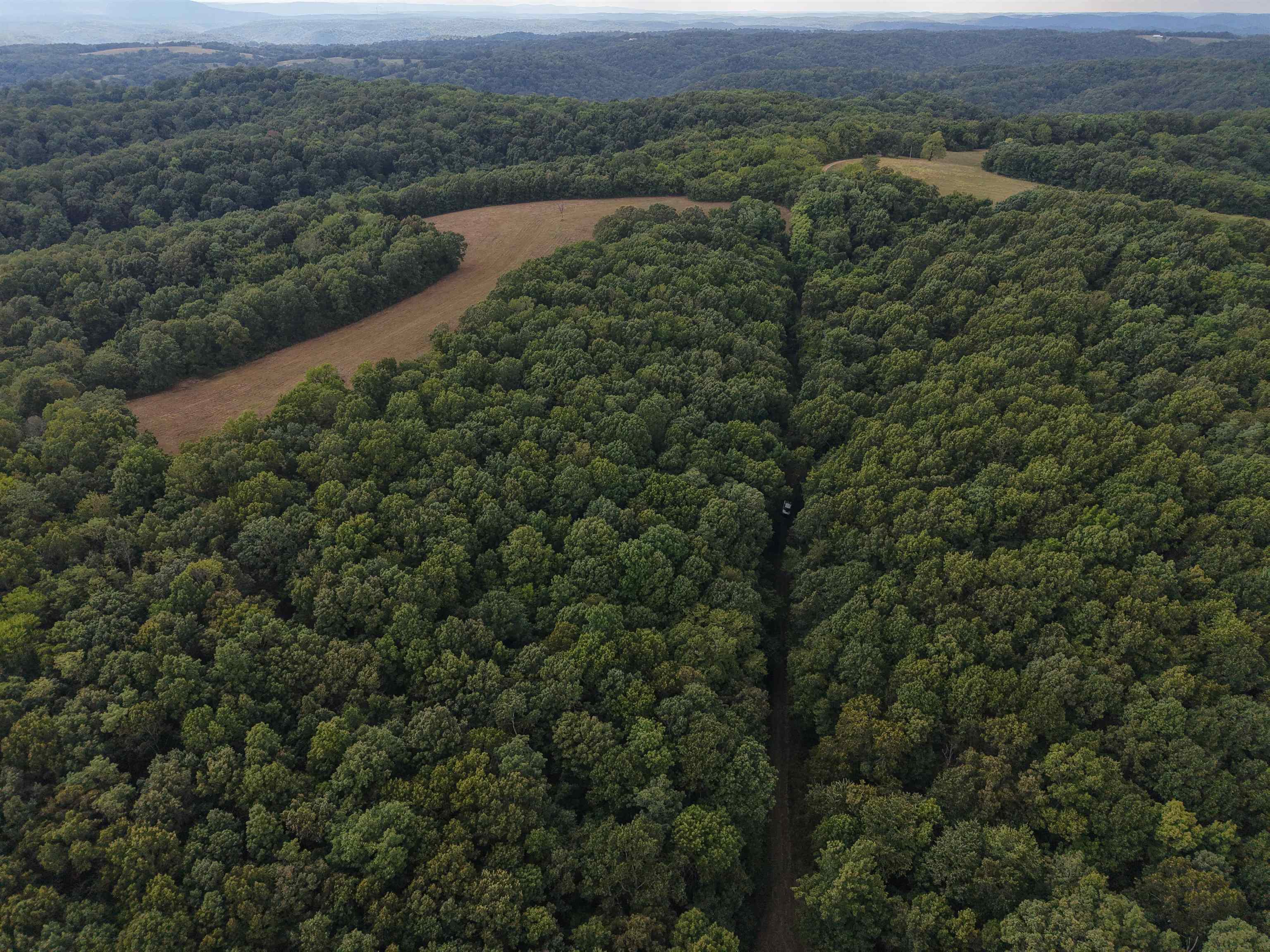 Photo 3 - Vacant Land for sale – 186A  Williamson Trail   Mount Pleasant, AR