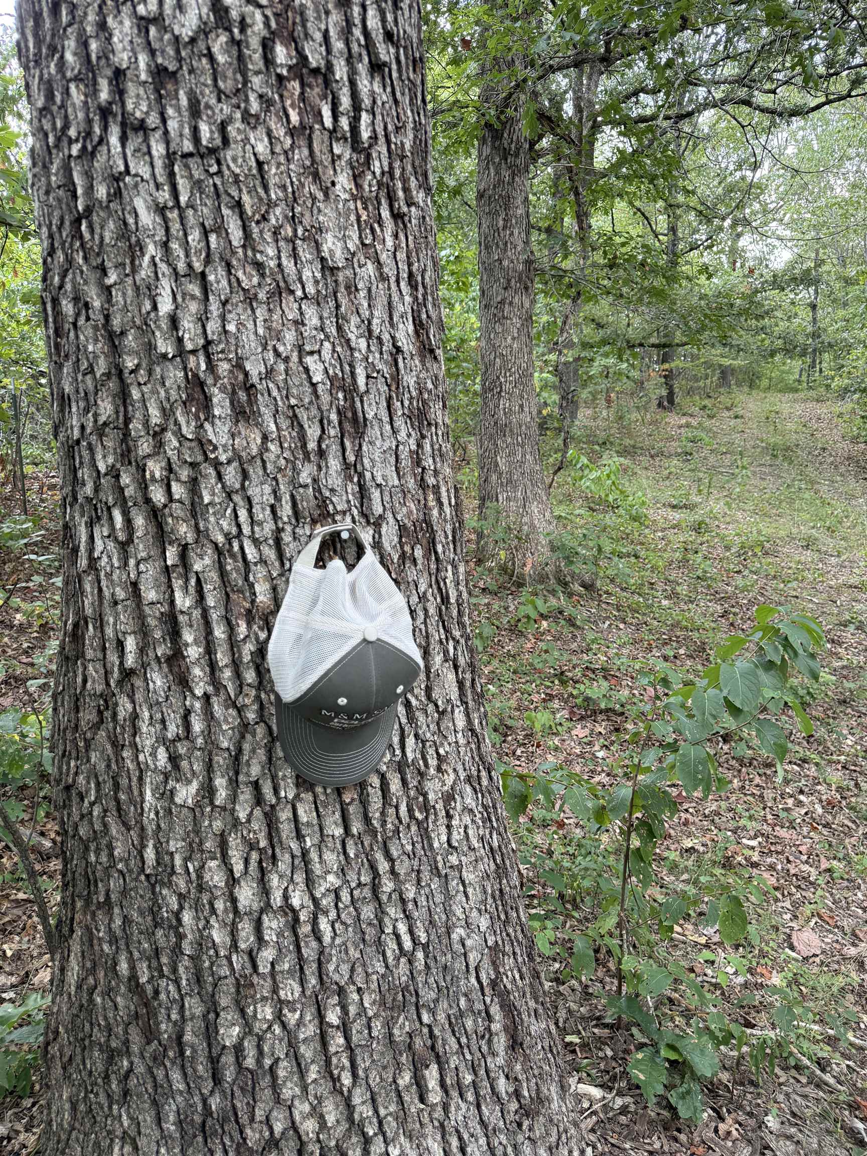 Photo 22 - Vacant Land for sale – 186A  Williamson Trail   Mount Pleasant, AR