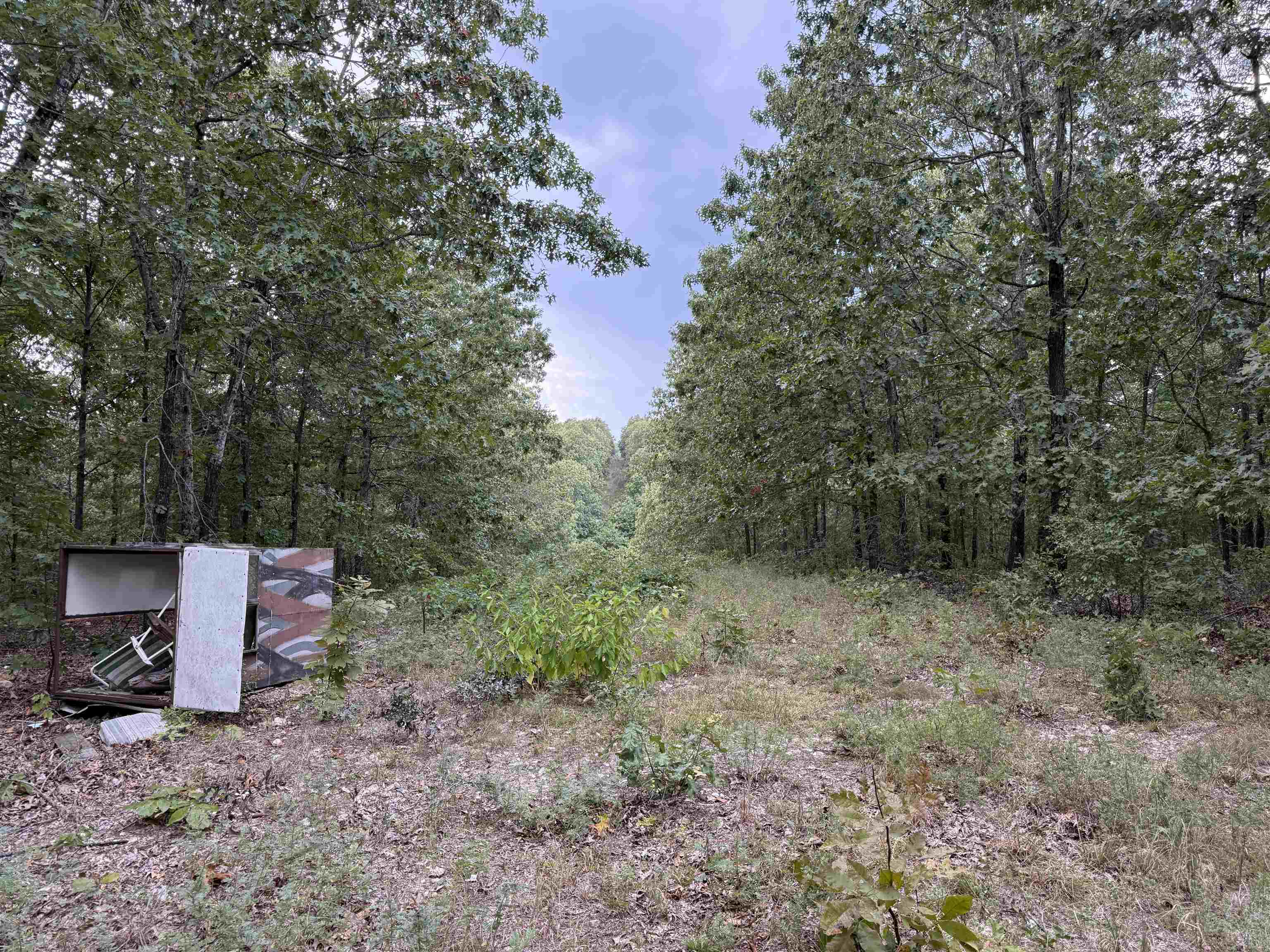 Photo 25 - Vacant Land for sale – 186A  Williamson Trail   Mount Pleasant, AR