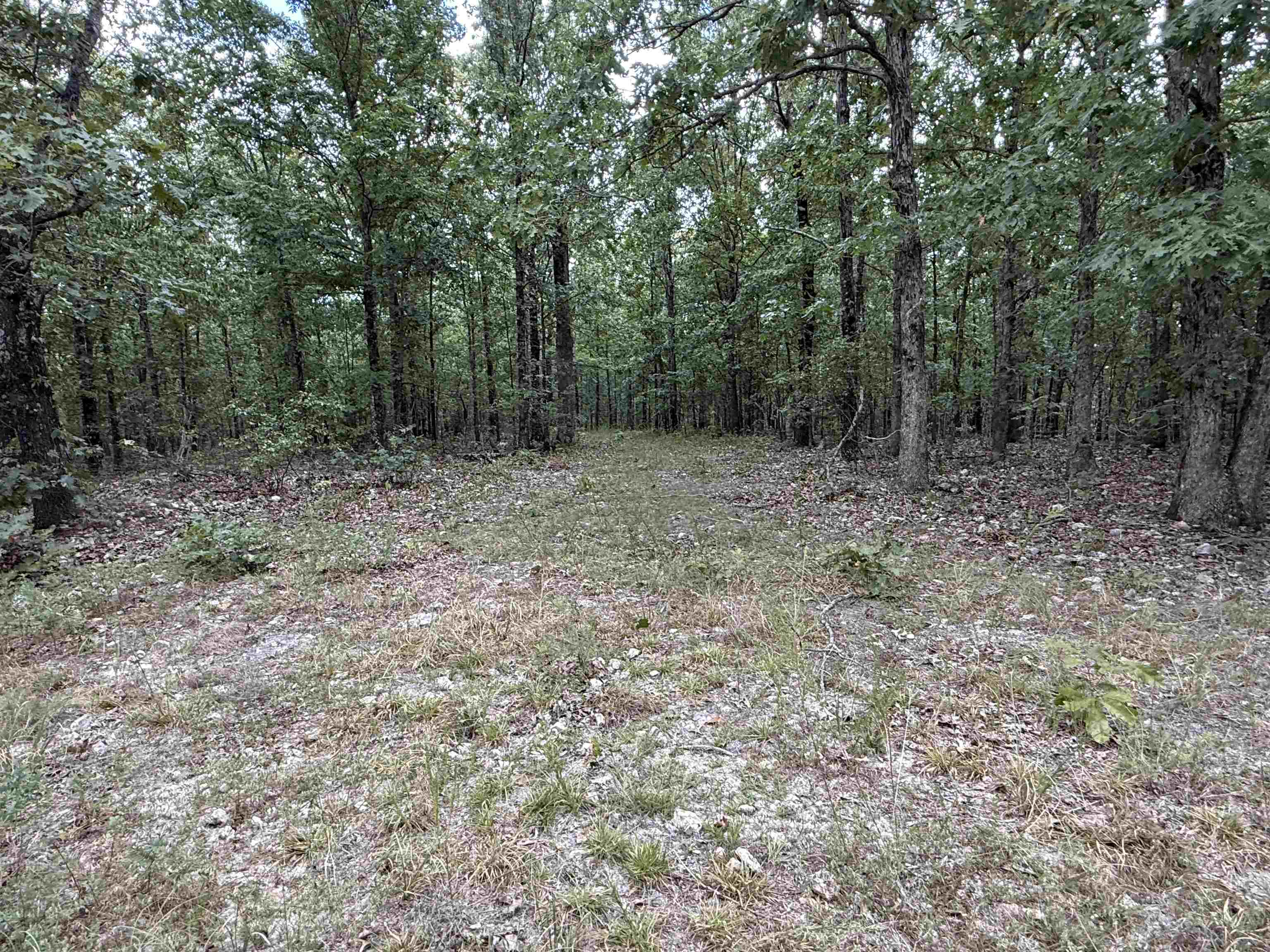 Photo 26 - Vacant Land for sale – 186A  Williamson Trail   Mount Pleasant, AR