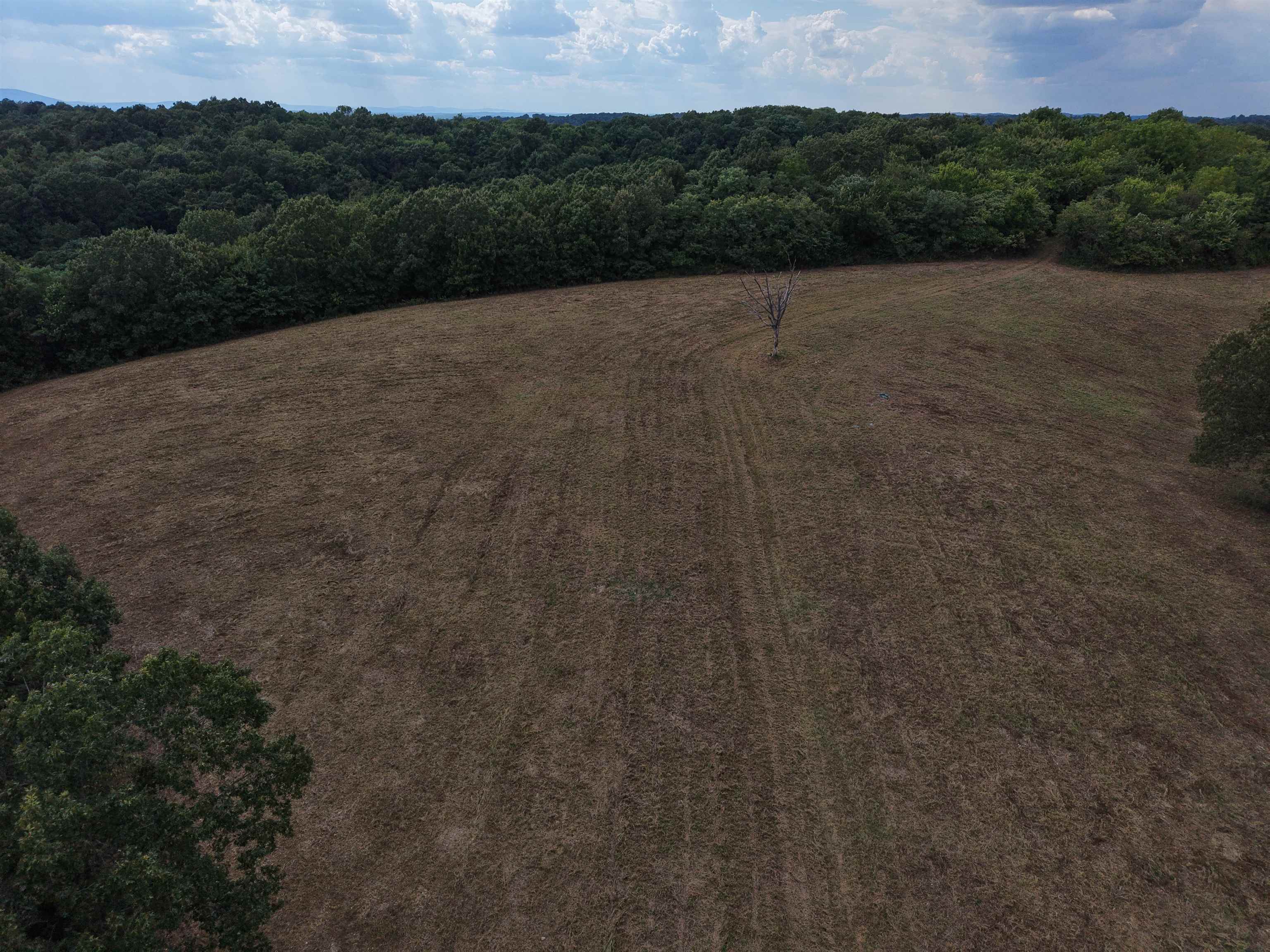 Photo 28 - Vacant Land for sale – 186A  Williamson Trail   Mount Pleasant, AR