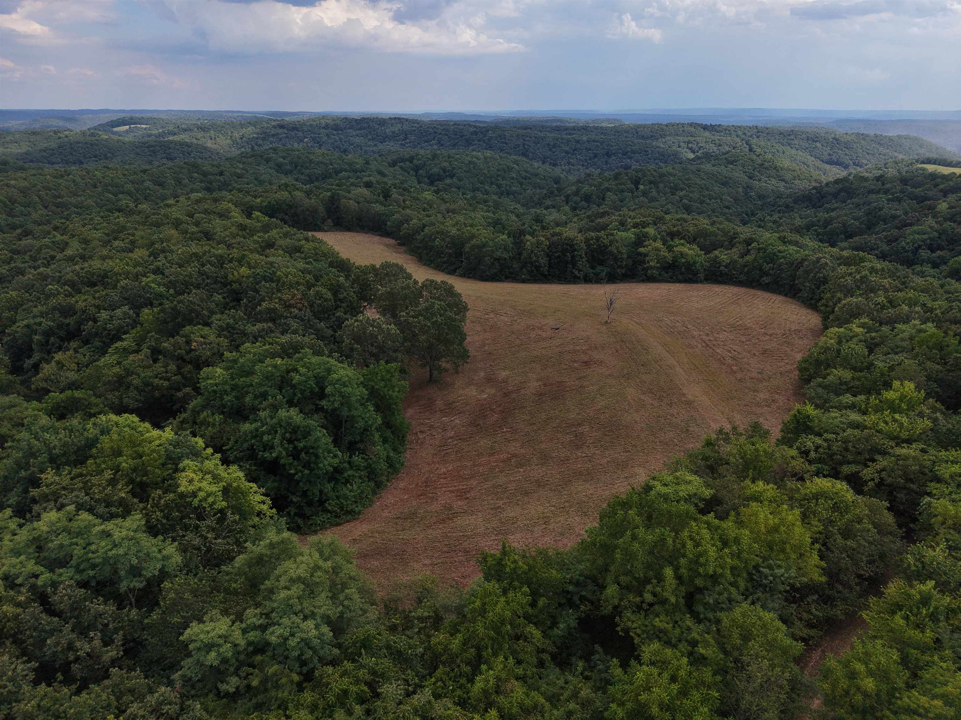 Photo 4 - Vacant Land for sale – 186A  Williamson Trail   Mount Pleasant, AR