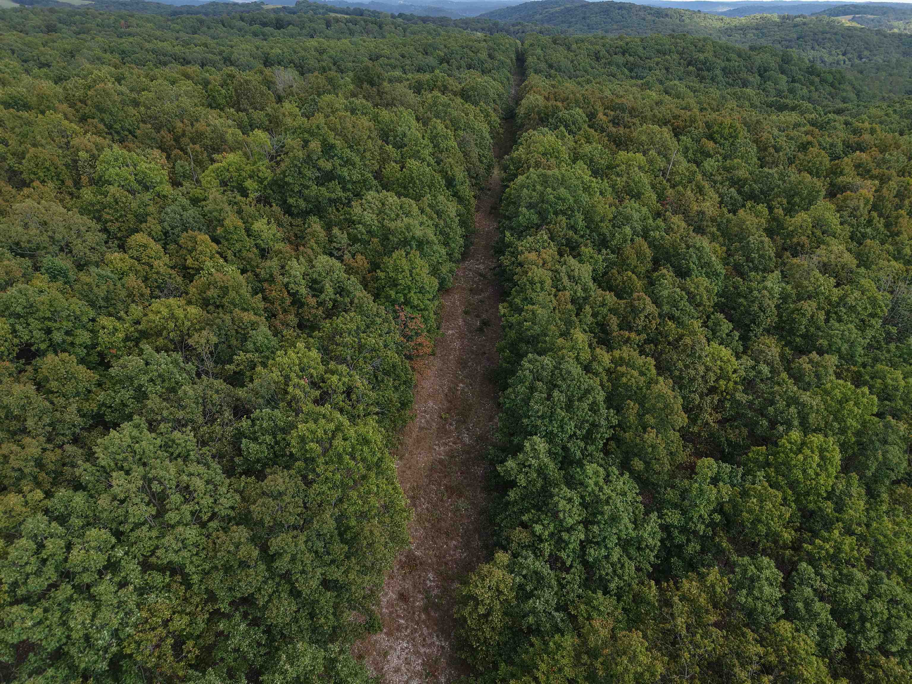 Photo 31 - Vacant Land for sale – 186A  Williamson Trail   Mount Pleasant, AR