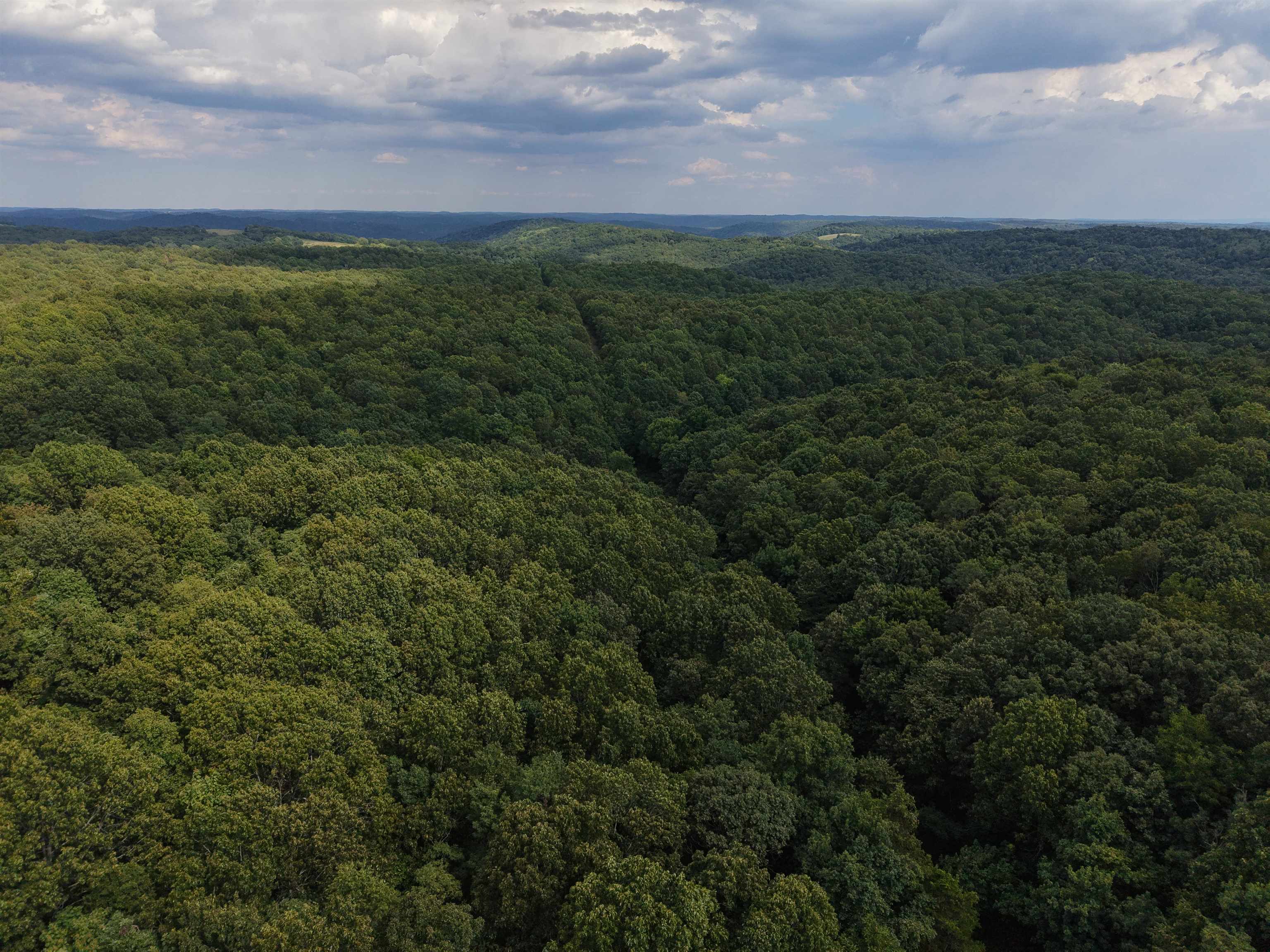 Photo 32 - Vacant Land for sale – 186A  Williamson Trail   Mount Pleasant, AR