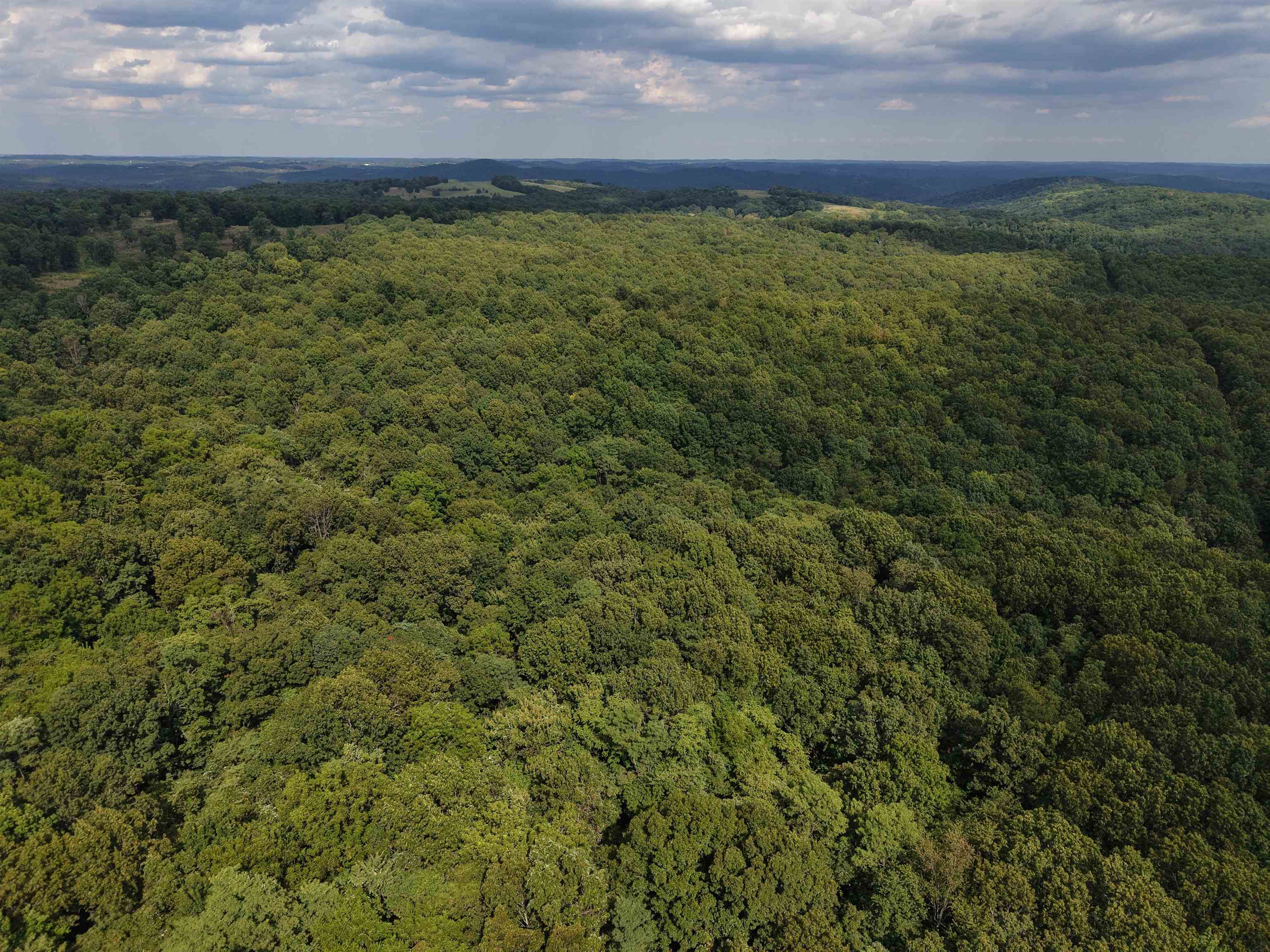 Photo 33 - Vacant Land for sale – 186A  Williamson Trail   Mount Pleasant, AR