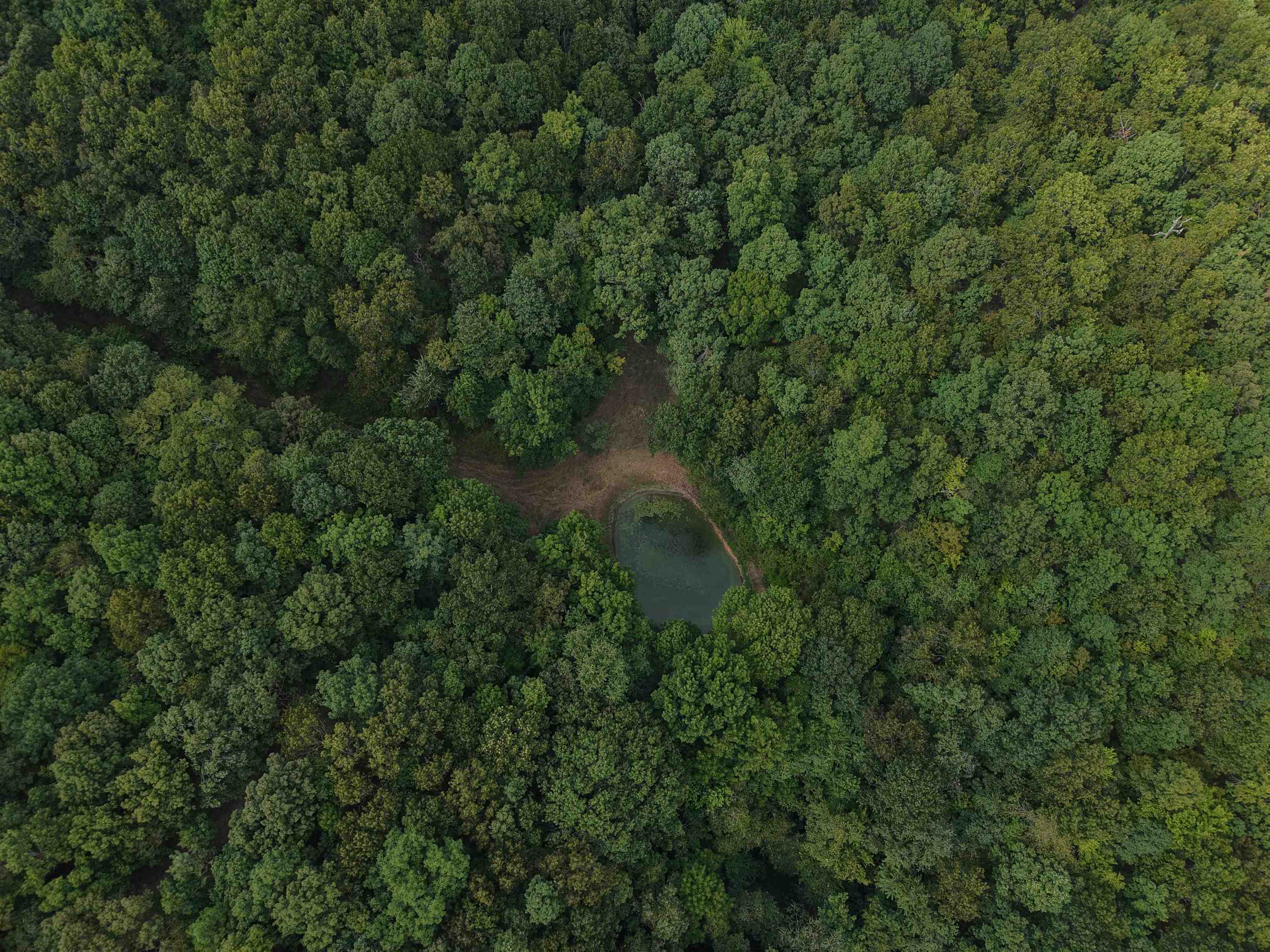 Photo 34 - Vacant Land for sale – 186A  Williamson Trail   Mount Pleasant, AR