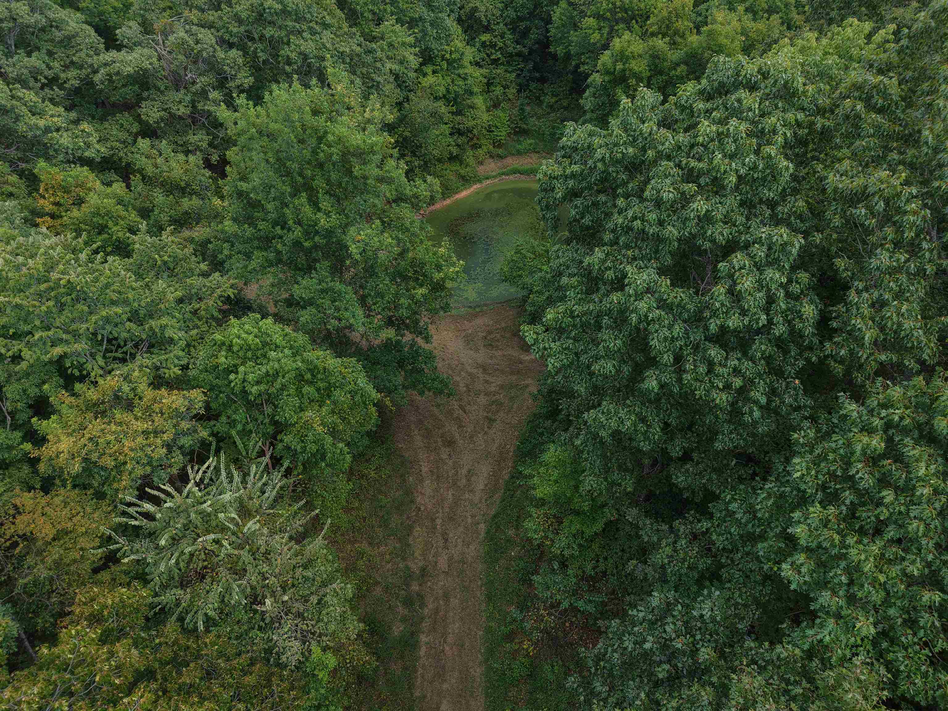 Photo 35 - Vacant Land for sale – 186A  Williamson Trail   Mount Pleasant, AR