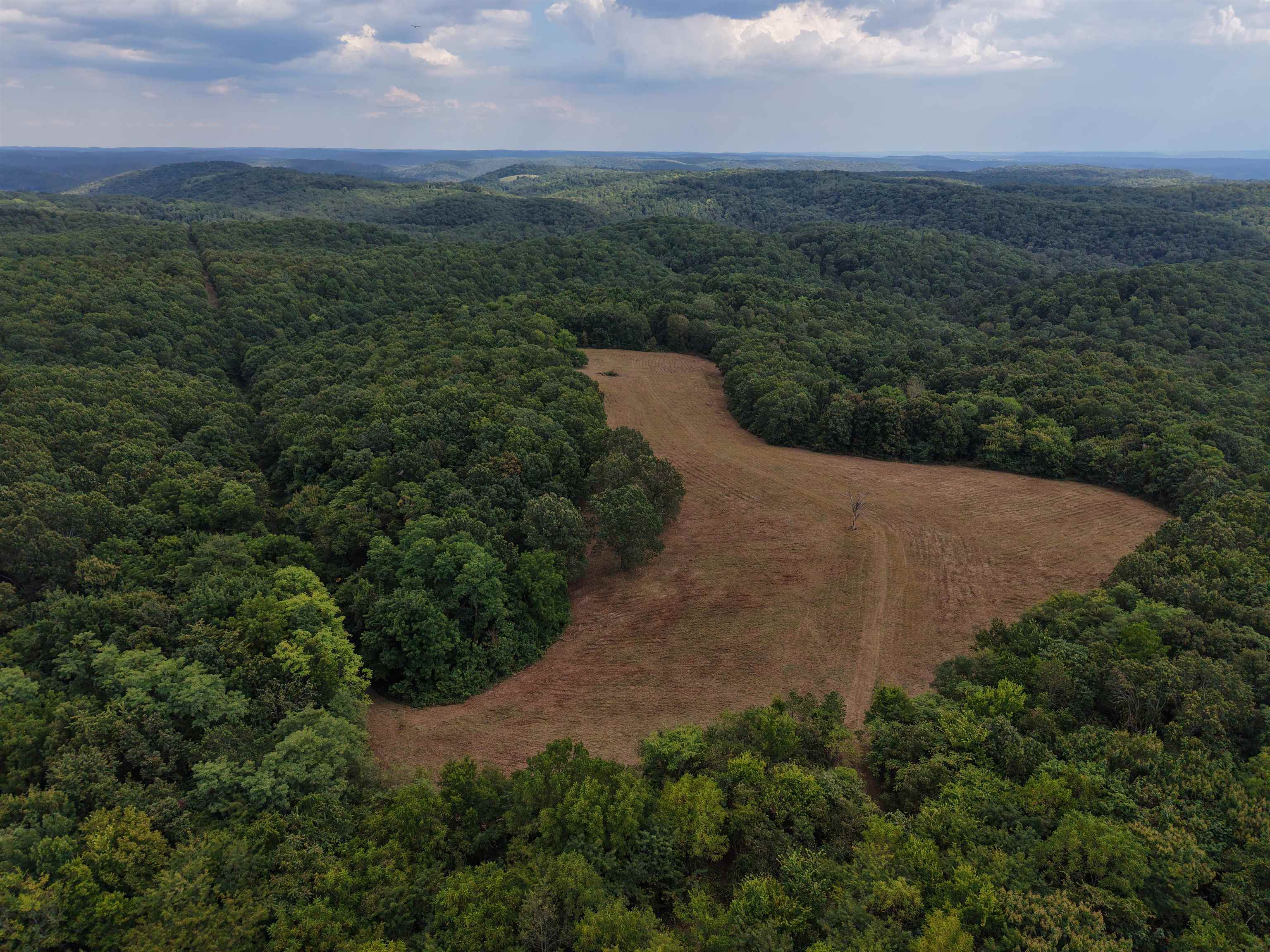 Photo 36 - Vacant Land for sale – 186A  Williamson Trail   Mount Pleasant, AR