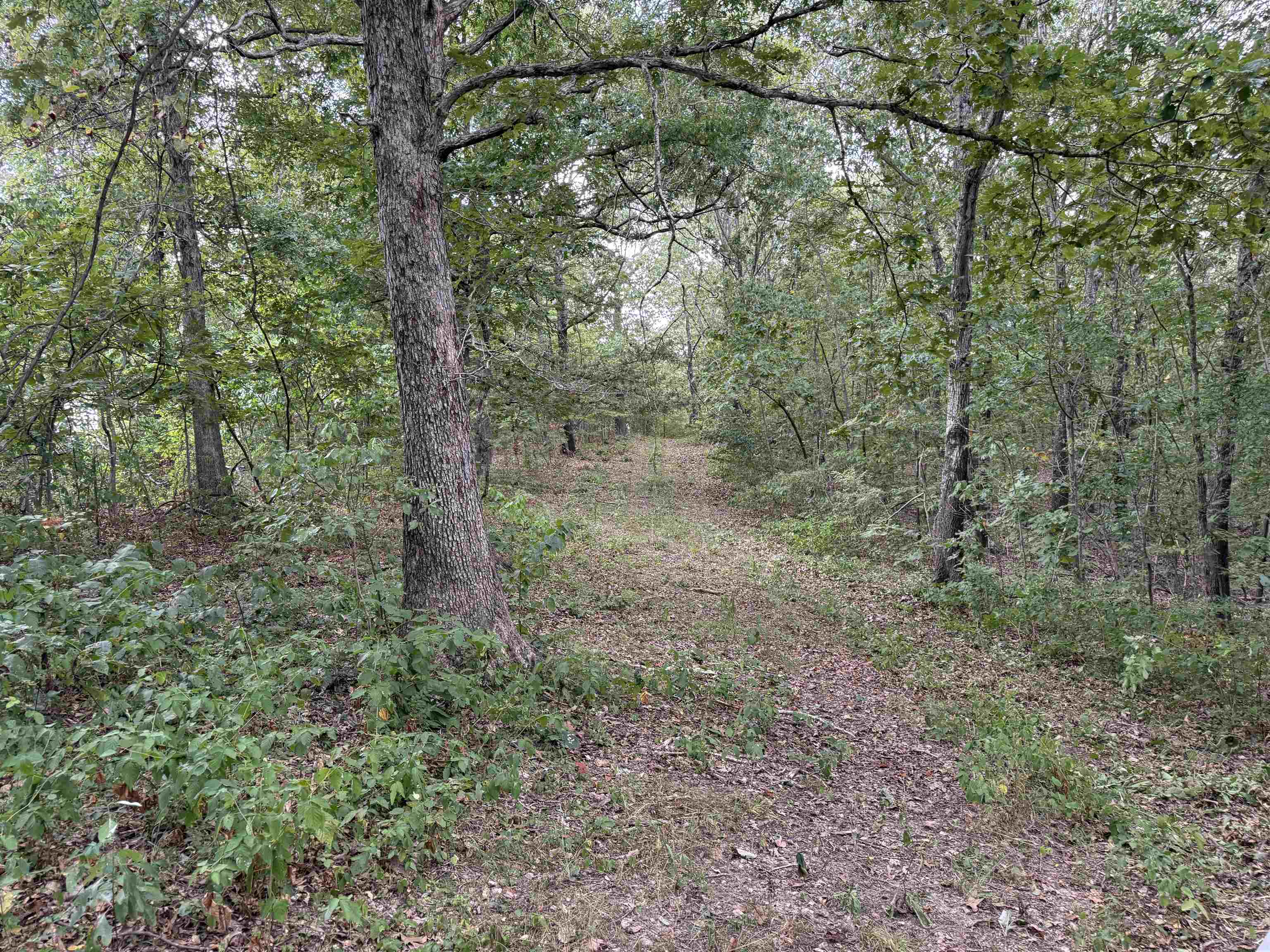 Photo 37 - Vacant Land for sale – 186A  Williamson Trail   Mount Pleasant, AR