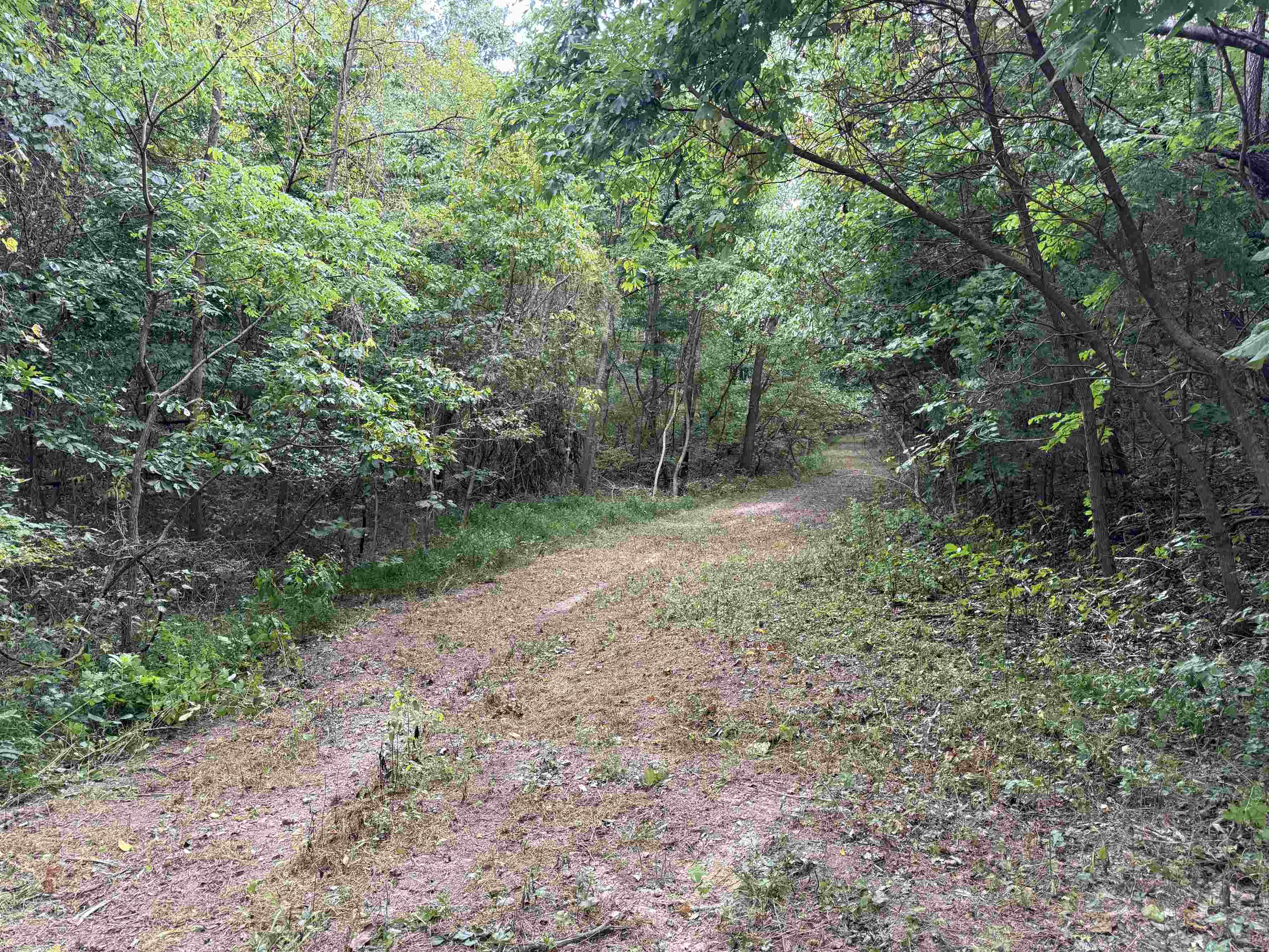 Photo 40 - Vacant Land for sale – 186A  Williamson Trail   Mount Pleasant, AR