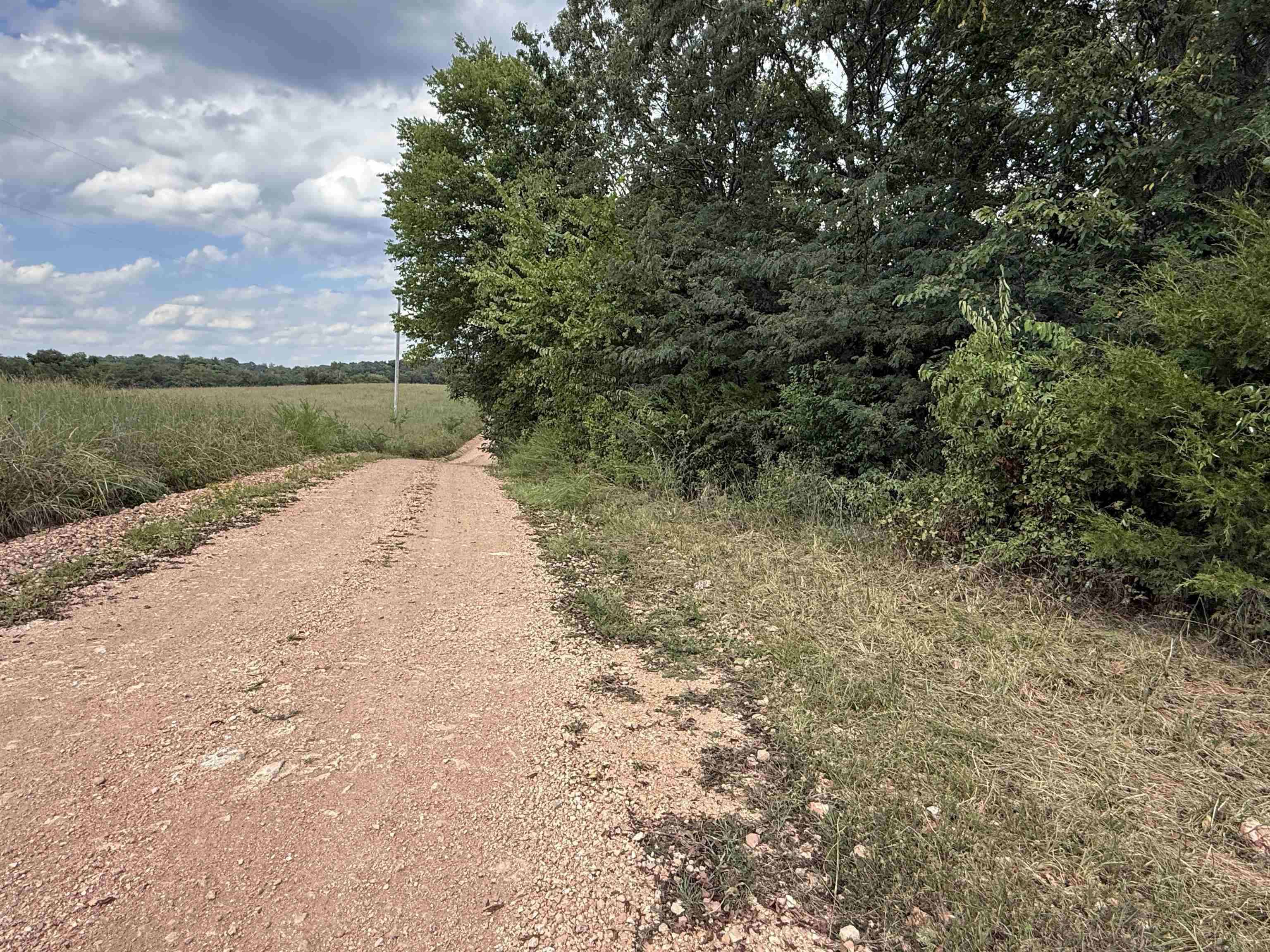 Photo 41 - Vacant Land for sale – 186A  Williamson Trail   Mount Pleasant, AR