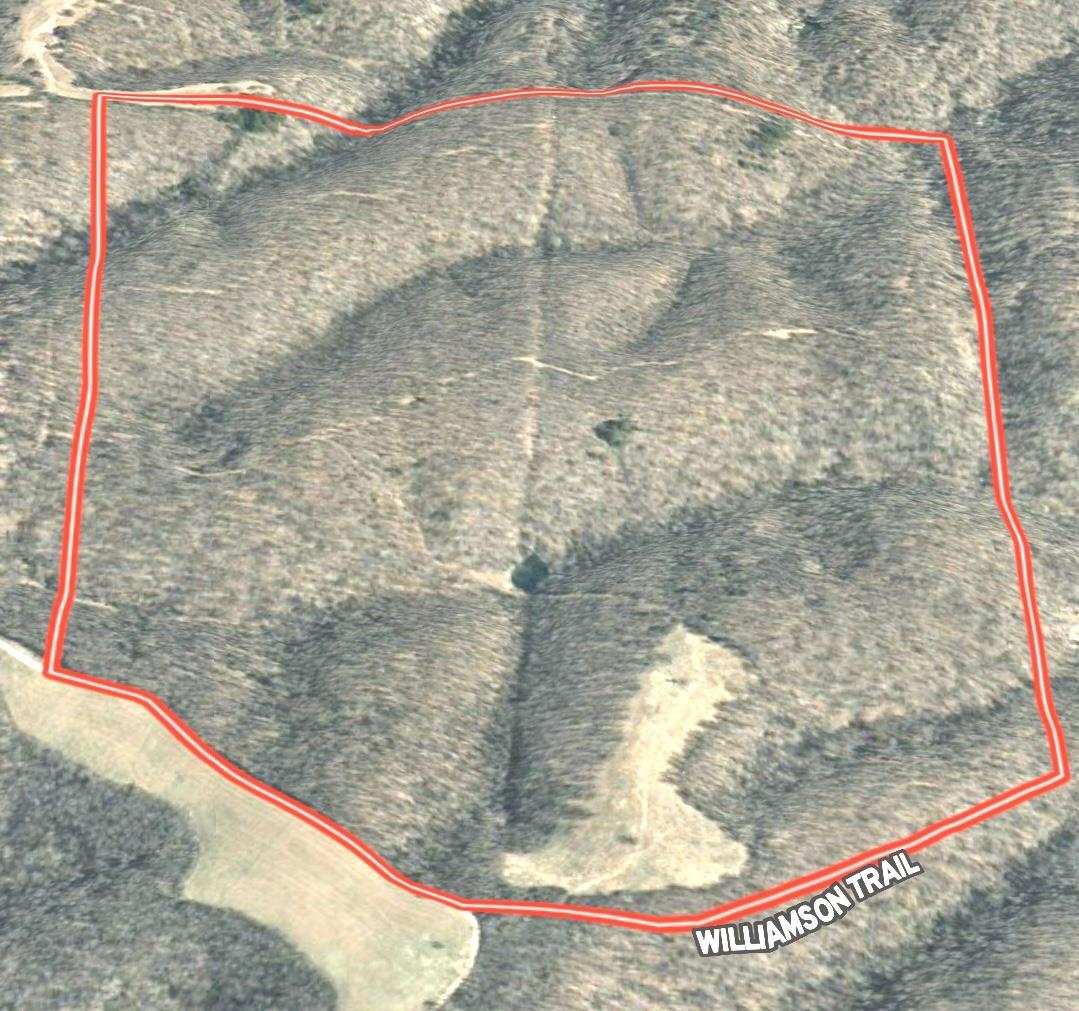Photo 42 - Vacant Land for sale – 186A  Williamson Trail   Mount Pleasant, AR