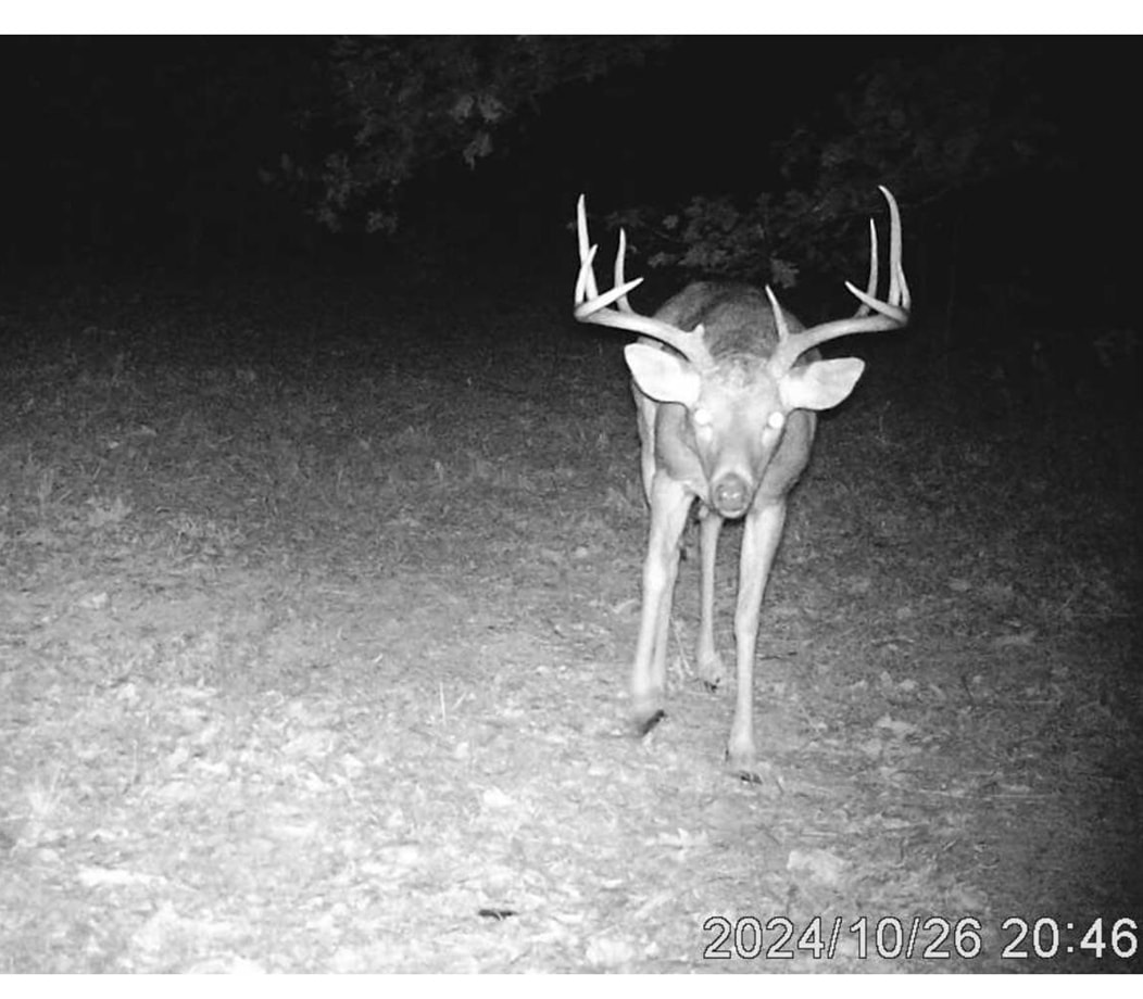 Photo 6 - Vacant Land for sale – 186A  Williamson Trail   Mount Pleasant, AR