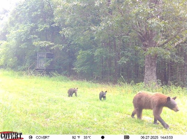 Photo 8 - Vacant Land for sale – 186A  Williamson Trail   Mount Pleasant, AR