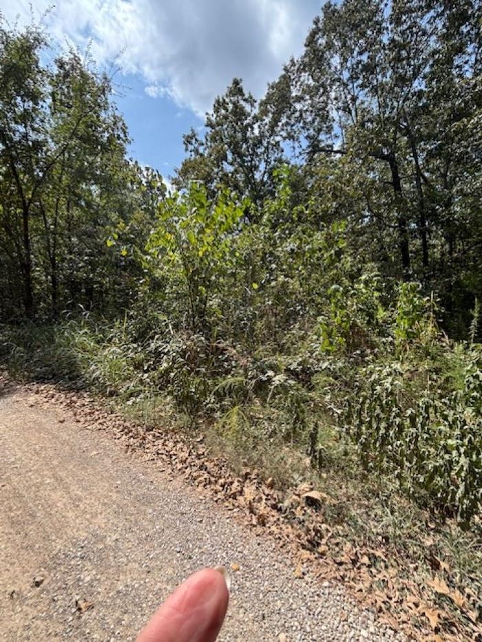 Vacant Land for sale – 36 FM 101 Rd S Highland   Highland, AR
