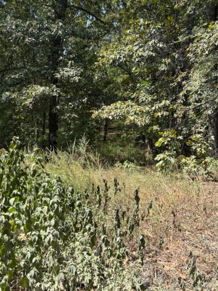Photo 2 - Vacant Land for sale – 36 FM 101 Rd S Highland   Highland, AR