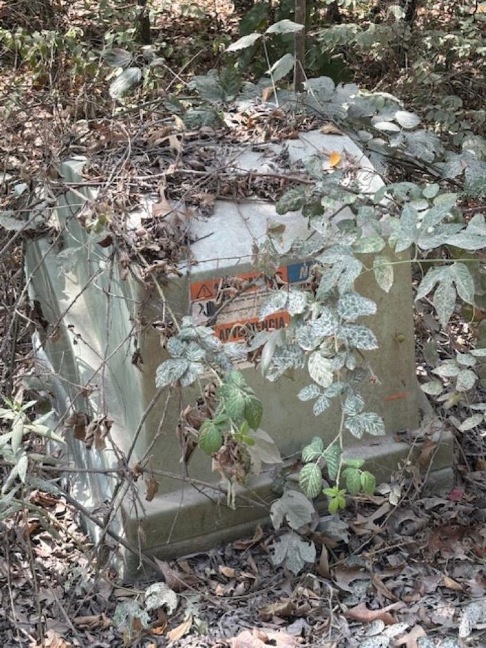 Photo 4 - Vacant Land for sale – 36 FM 101 Rd S Highland   Highland, AR