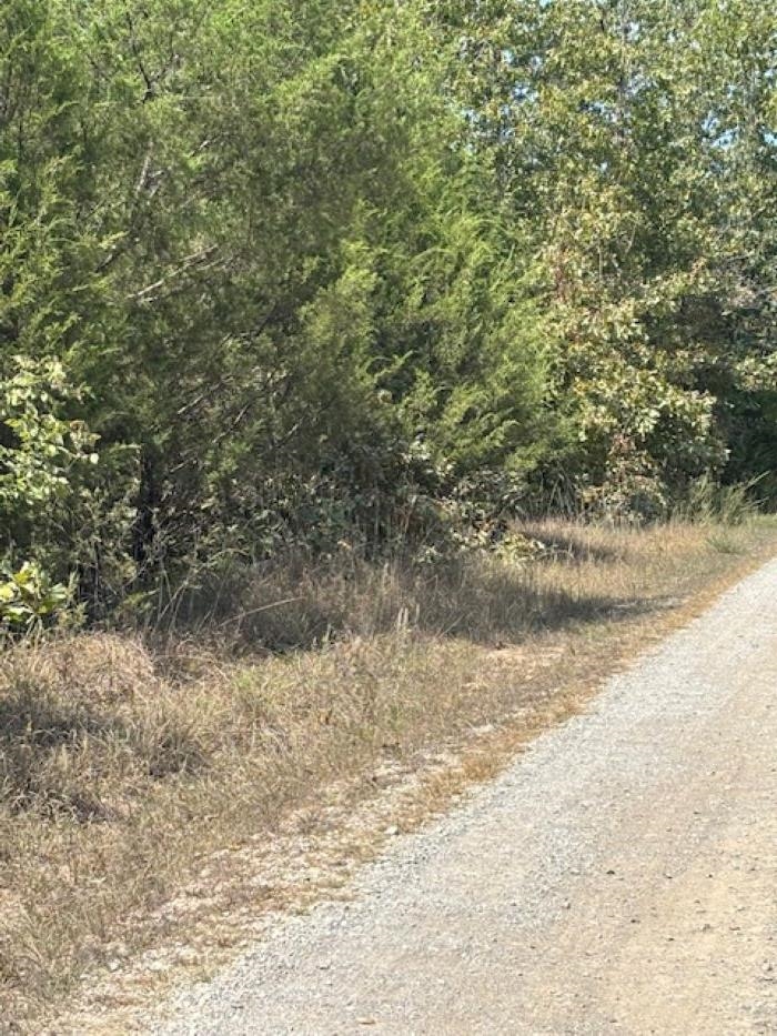 Photo 7 - Vacant Land for sale – 36 FM 101 Rd S Highland   Highland, AR