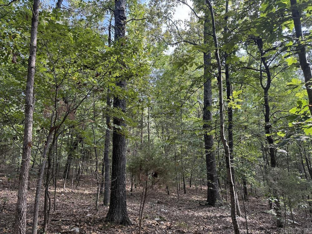 Photo 2 - Vacant Land for sale –   Pine Valley Road   Hardy, AR