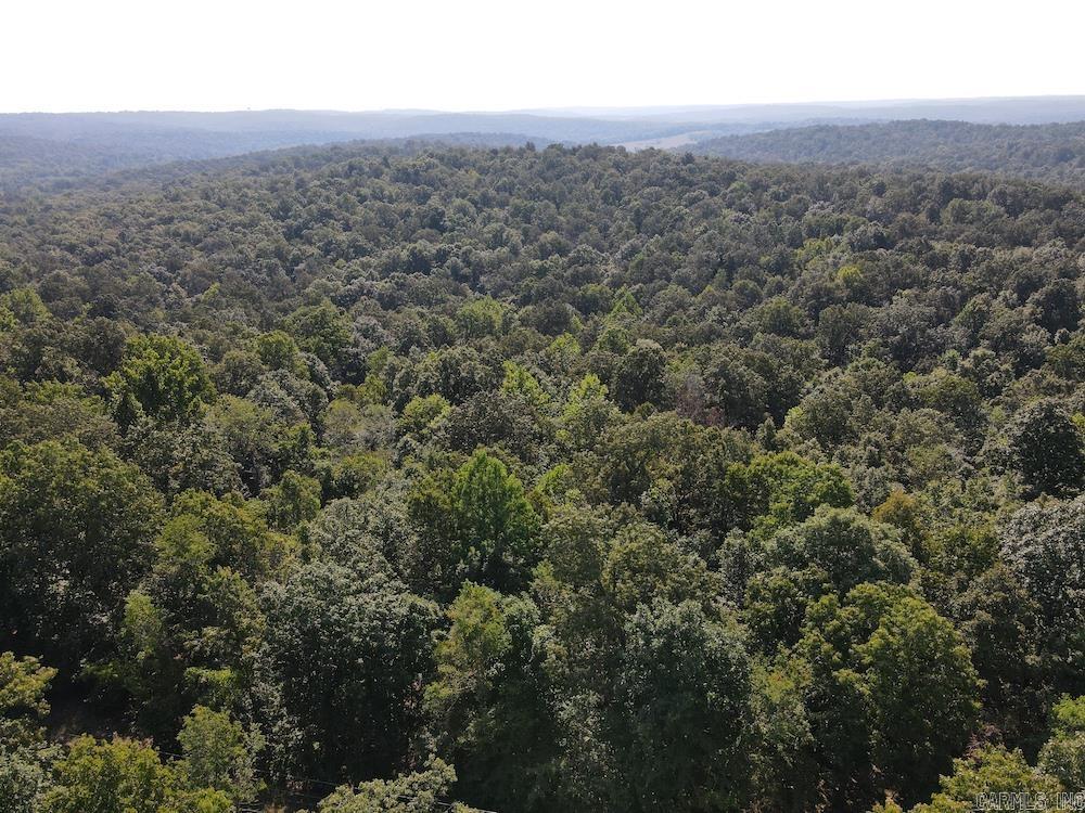 Photo 11 - Vacant Land for sale –   Pine Valley Road   Hardy, AR