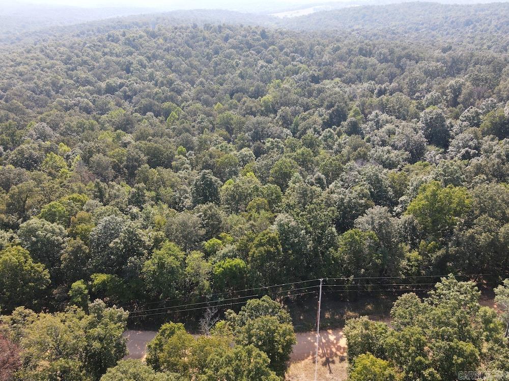 Photo 13 - Vacant Land for sale –   Pine Valley Road   Hardy, AR