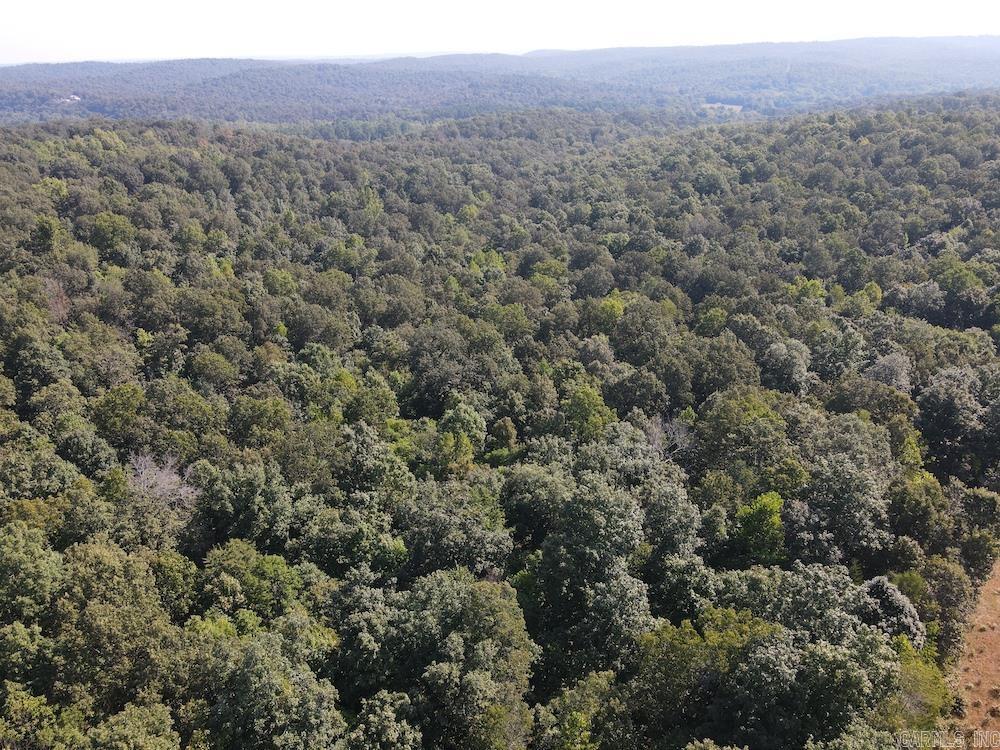 Photo 16 - Vacant Land for sale –   Pine Valley Road   Hardy, AR