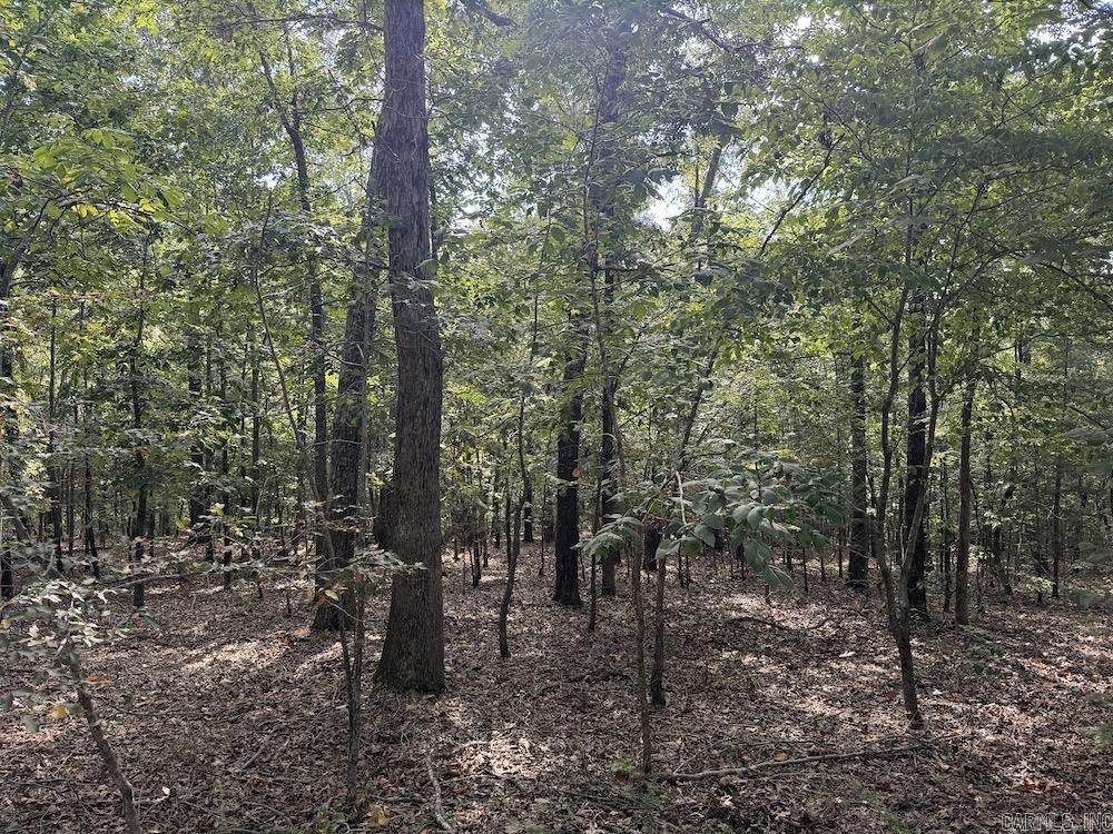 Photo 24 - Vacant Land for sale –   Pine Valley Road   Hardy, AR