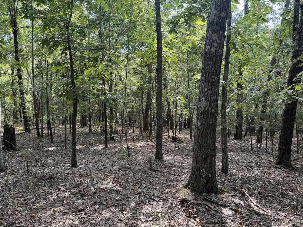 Photo 25 - Vacant Land for sale –   Pine Valley Road   Hardy, AR