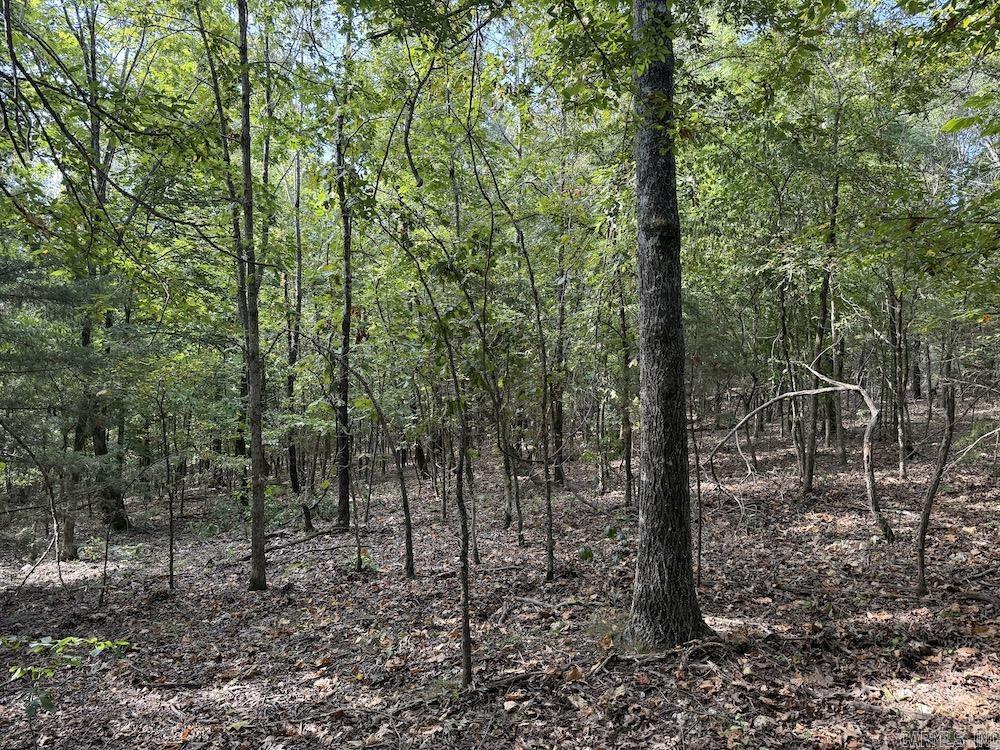 Photo 26 - Vacant Land for sale –   Pine Valley Road   Hardy, AR