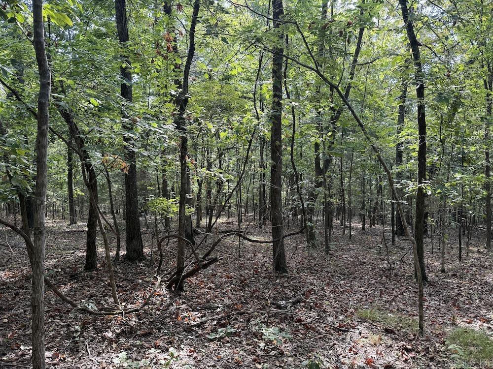 Photo 27 - Vacant Land for sale –   Pine Valley Road   Hardy, AR