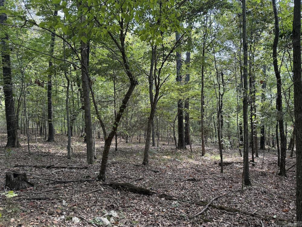 Photo 28 - Vacant Land for sale –   Pine Valley Road   Hardy, AR