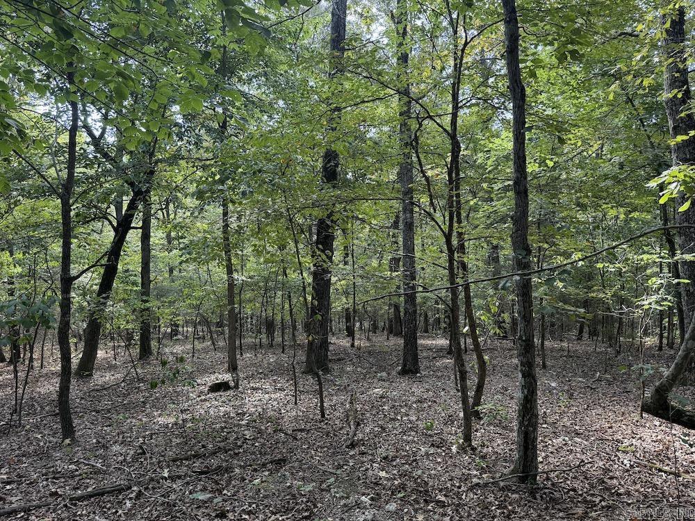 Photo 30 - Vacant Land for sale –   Pine Valley Road   Hardy, AR