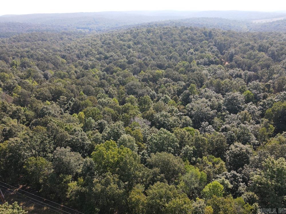 Photo 4 - Vacant Land for sale –   Pine Valley Road   Hardy, AR