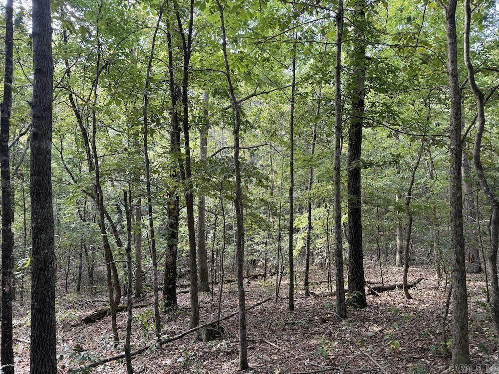 Photo 31 - Vacant Land for sale –   Pine Valley Road   Hardy, AR