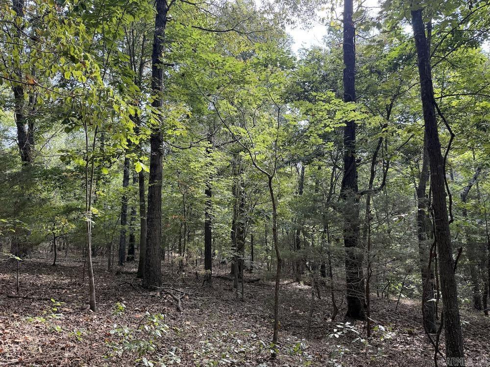 Photo 32 - Vacant Land for sale –   Pine Valley Road   Hardy, AR