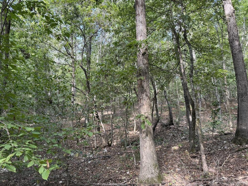 Photo 33 - Vacant Land for sale –   Pine Valley Road   Hardy, AR