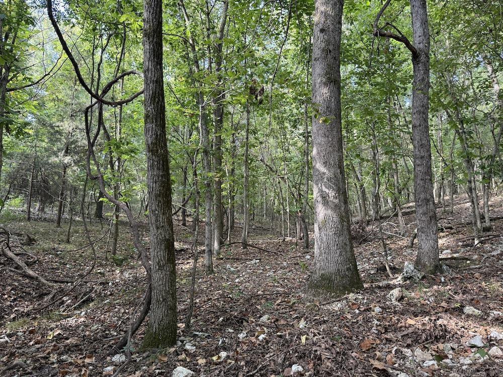 Photo 34 - Vacant Land for sale –   Pine Valley Road   Hardy, AR