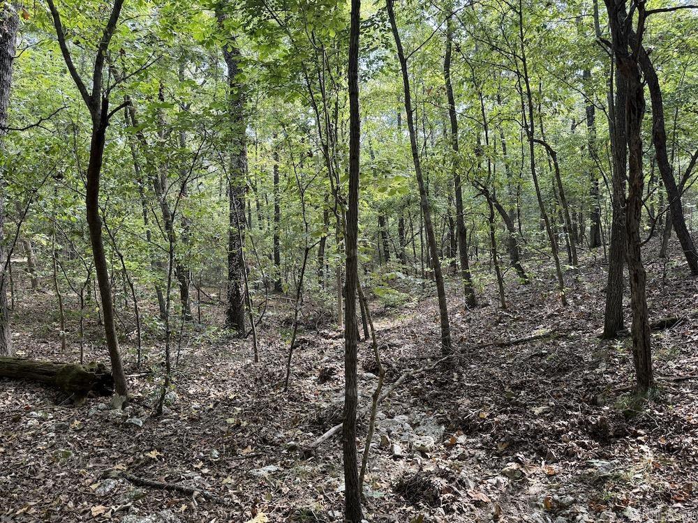 Photo 35 - Vacant Land for sale –   Pine Valley Road   Hardy, AR