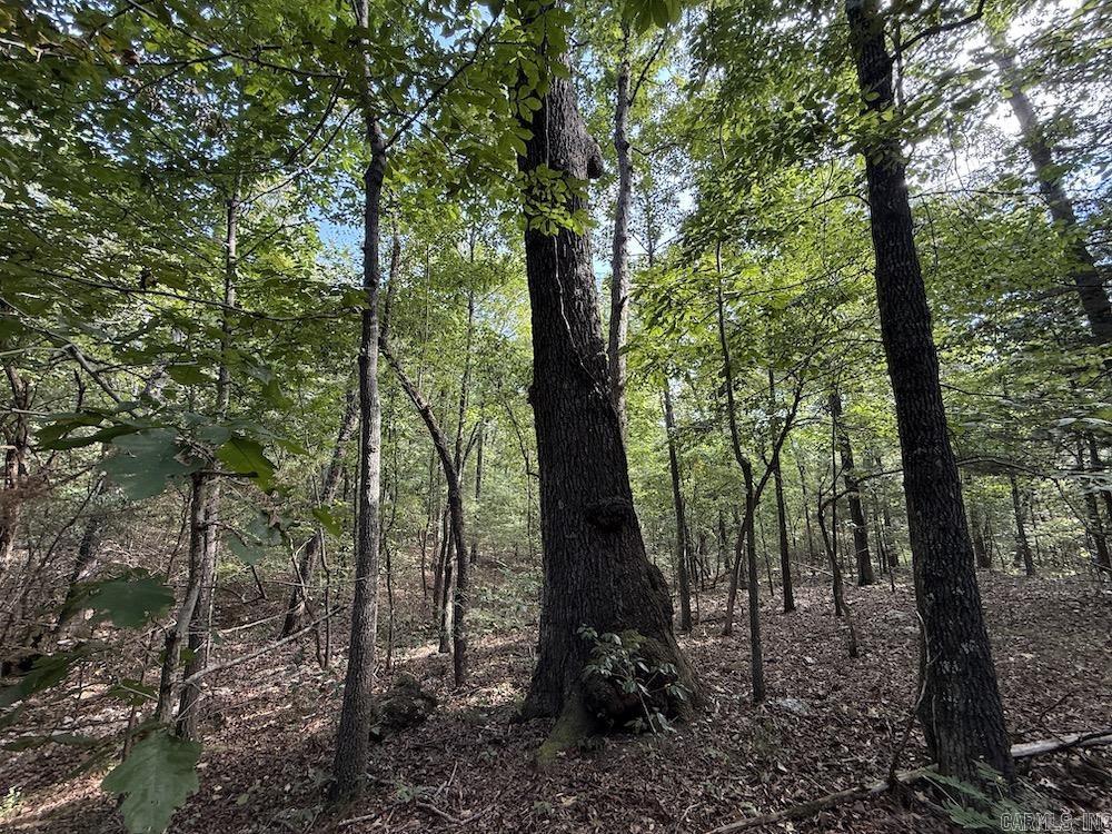 Photo 36 - Vacant Land for sale –   Pine Valley Road   Hardy, AR