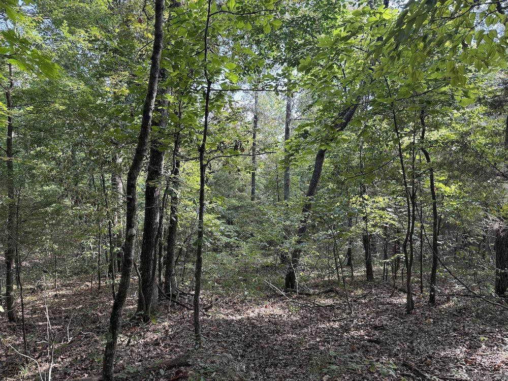 Photo 37 - Vacant Land for sale –   Pine Valley Road   Hardy, AR